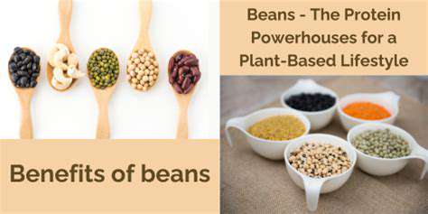 Legumes:Plant-BasedProteinPowerhouses