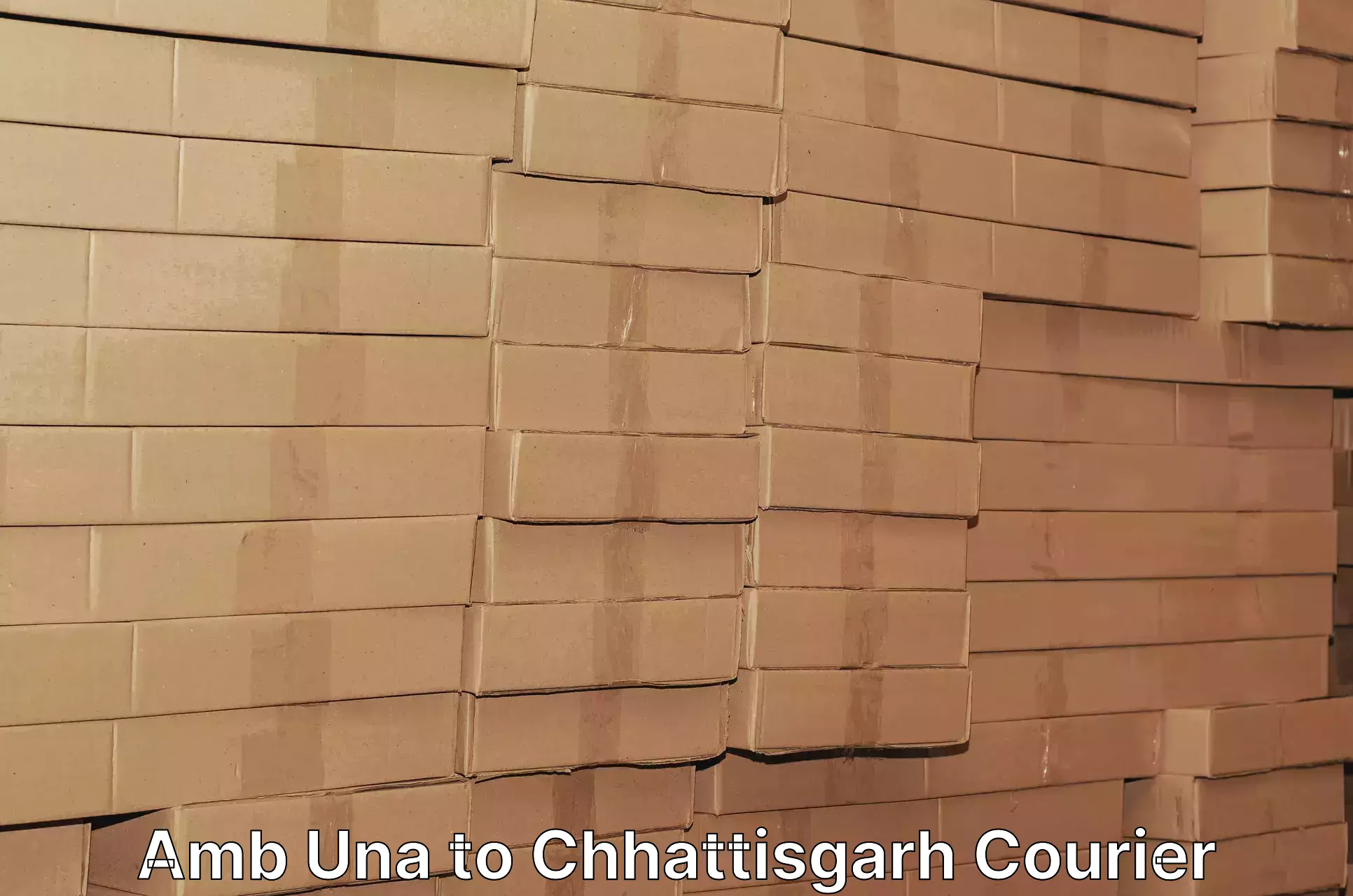 Cost-effective courier options Amb Una to Chhattisgarh