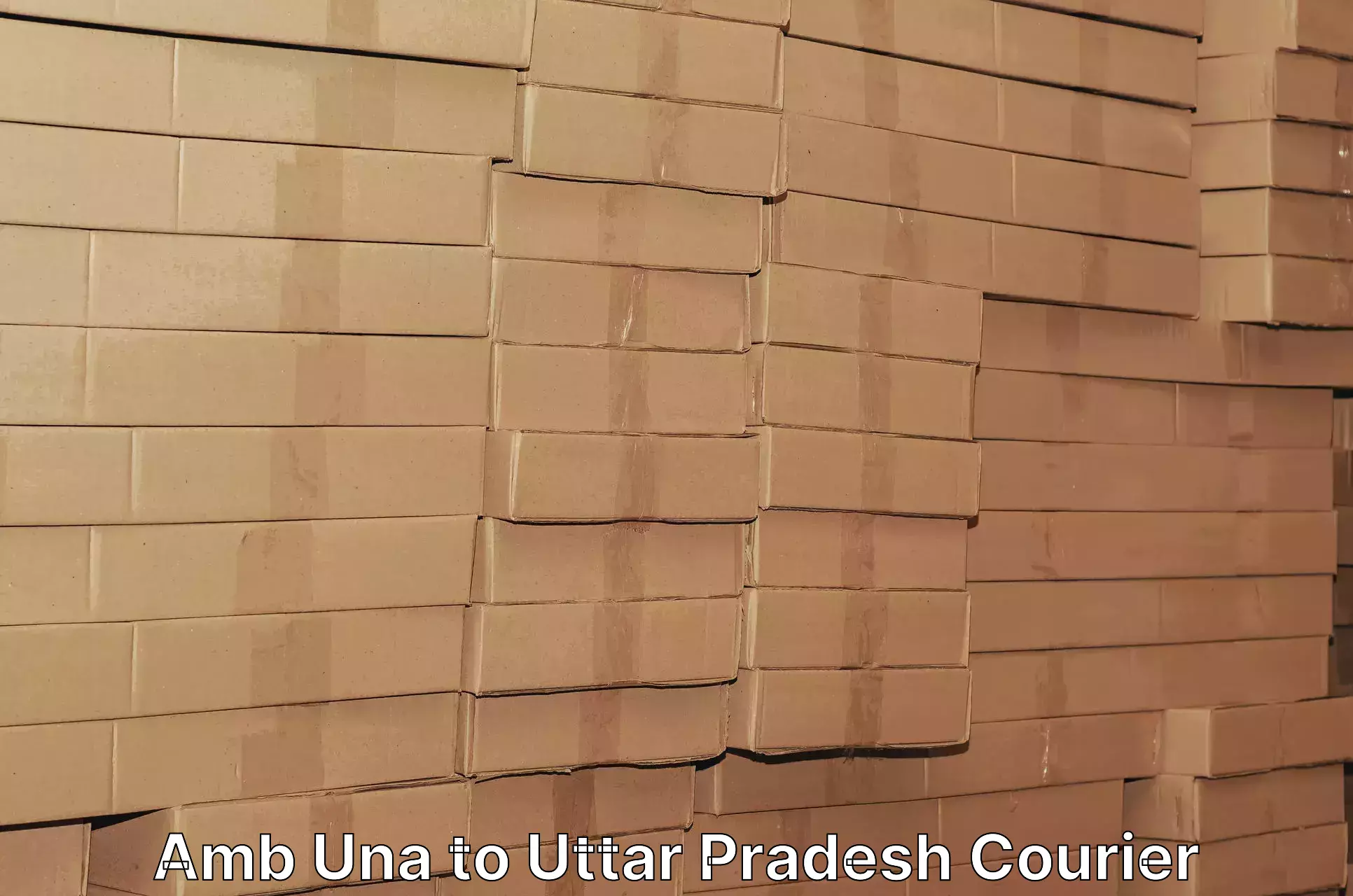 Courier service booking Amb Una to Uttar Pradesh