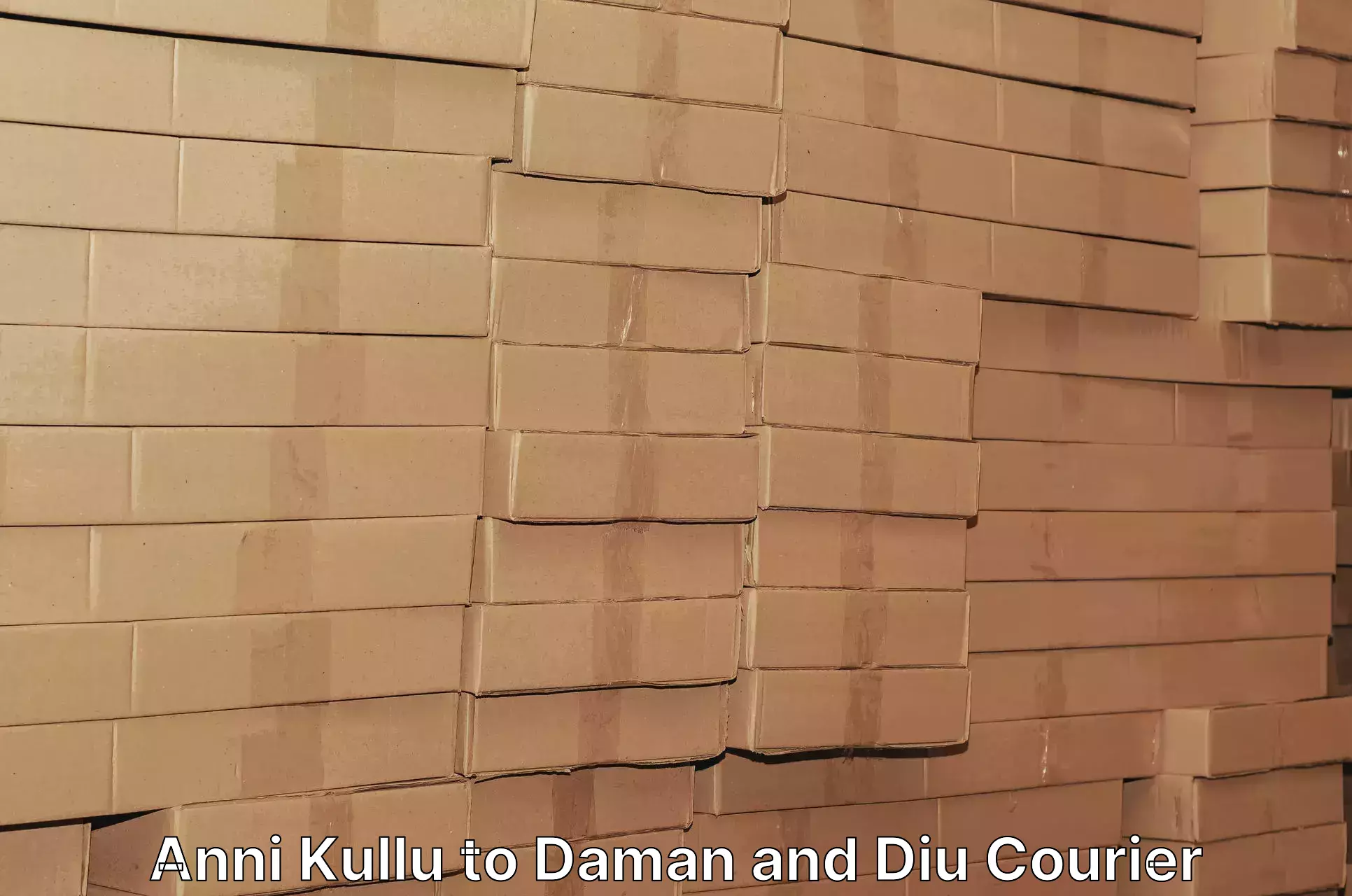 Corporate courier solutions Anni Kullu to Daman and Diu