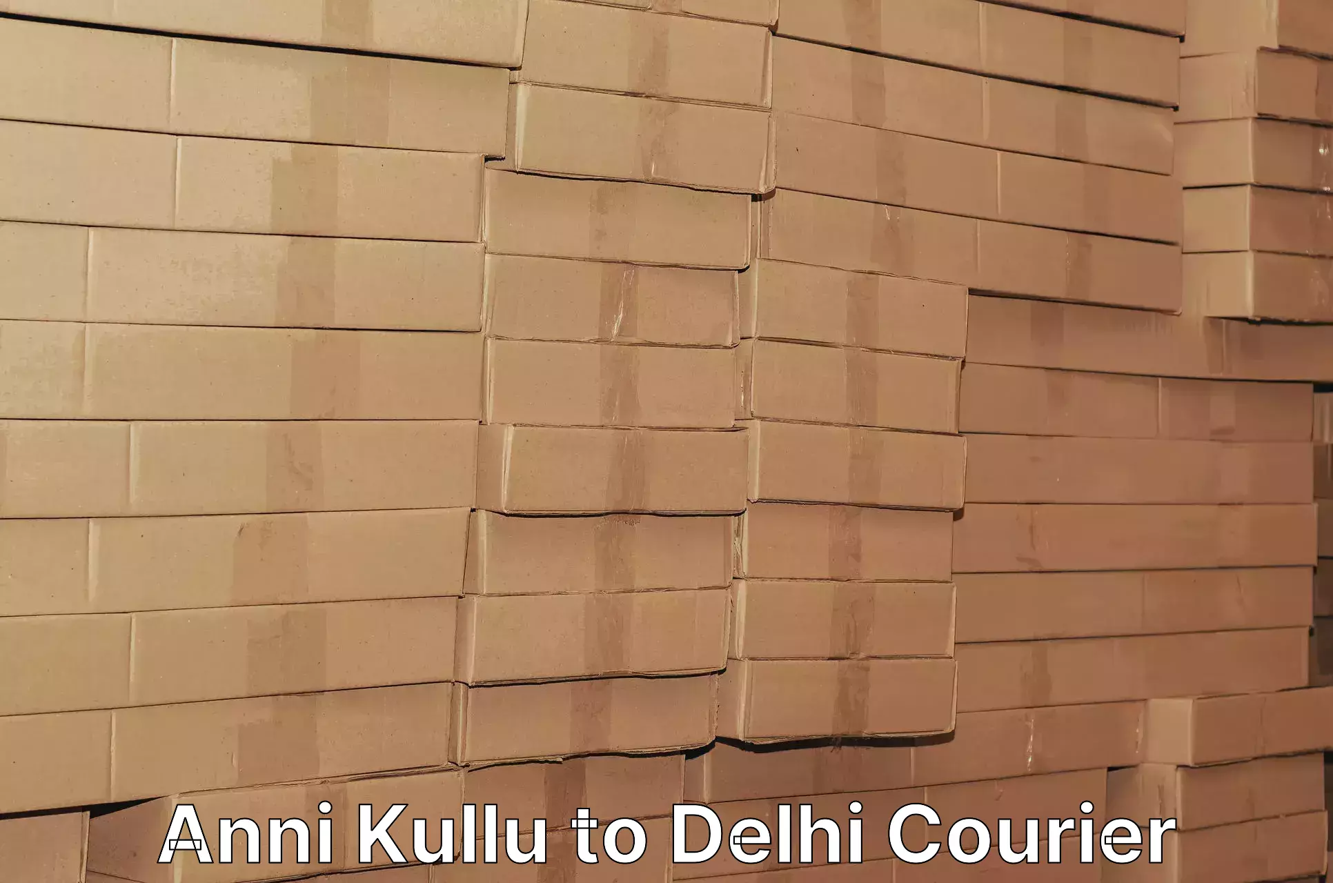 Customer-focused courier Anni Kullu to Jawaharlal Nehru University New Delhi