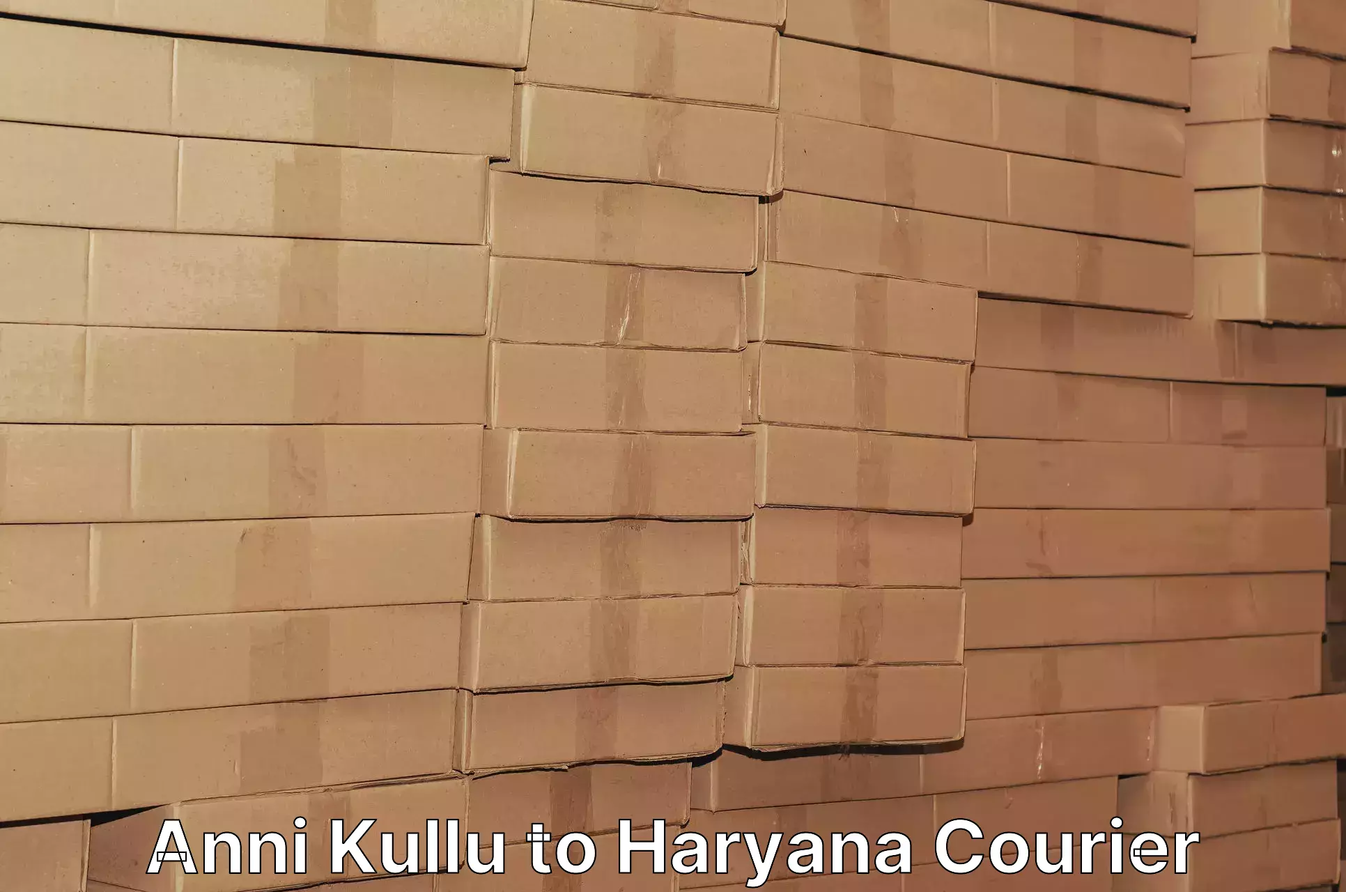 Nationwide shipping capabilities Anni Kullu to Haryana