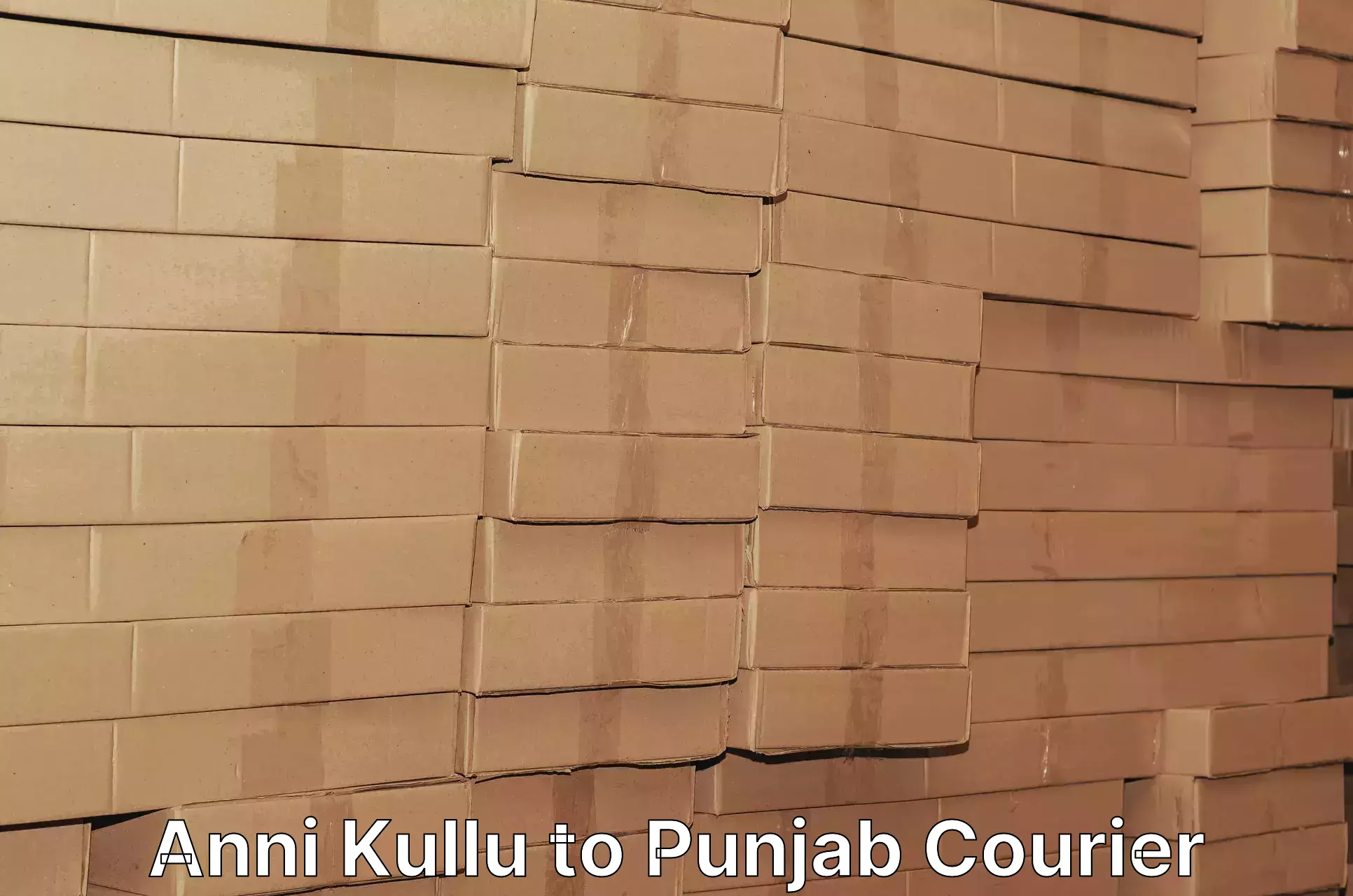 Parcel delivery Anni Kullu to Adampur Jalandhar