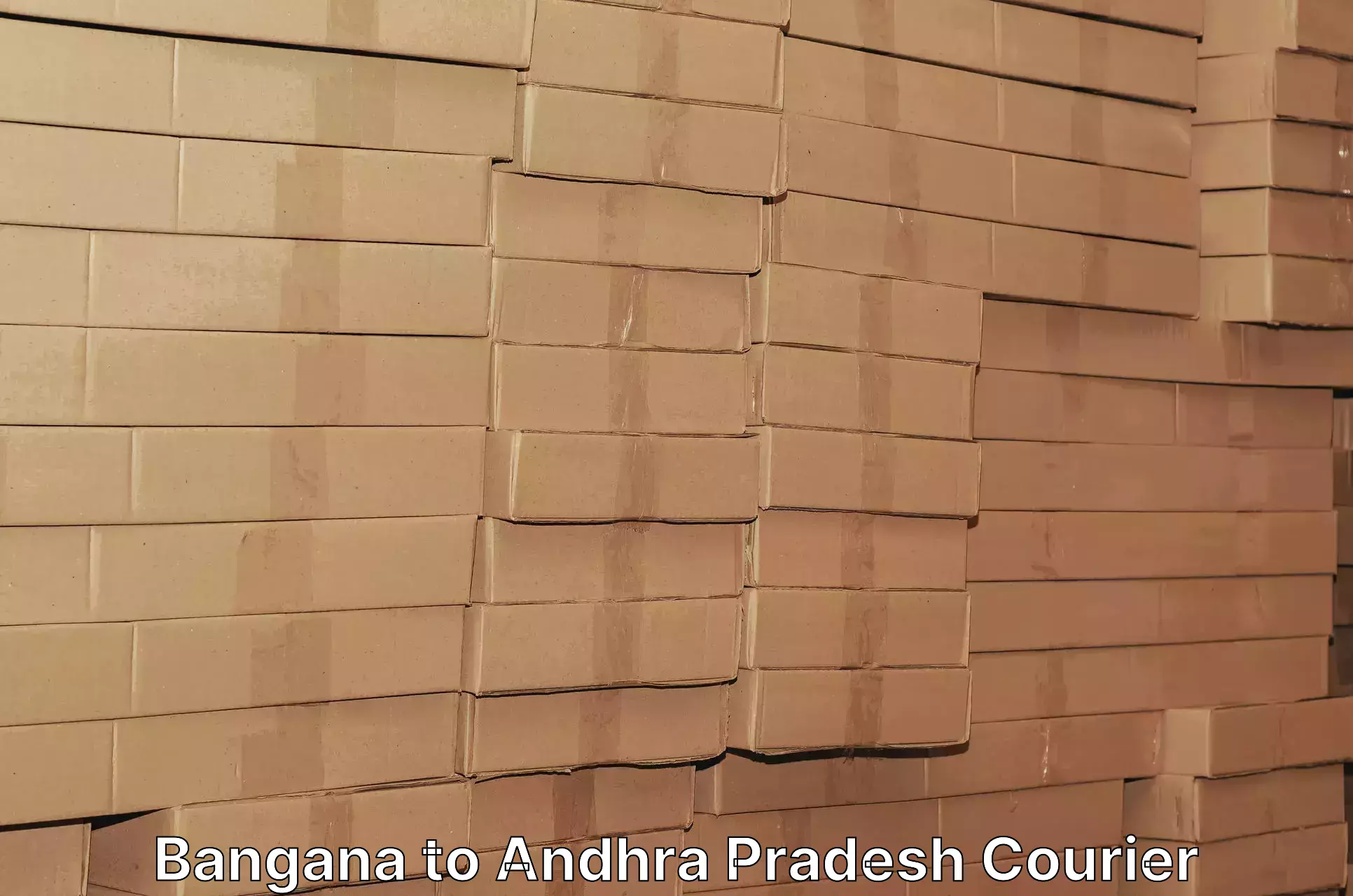 Nationwide shipping coverage Bangana to Andhra Pradesh