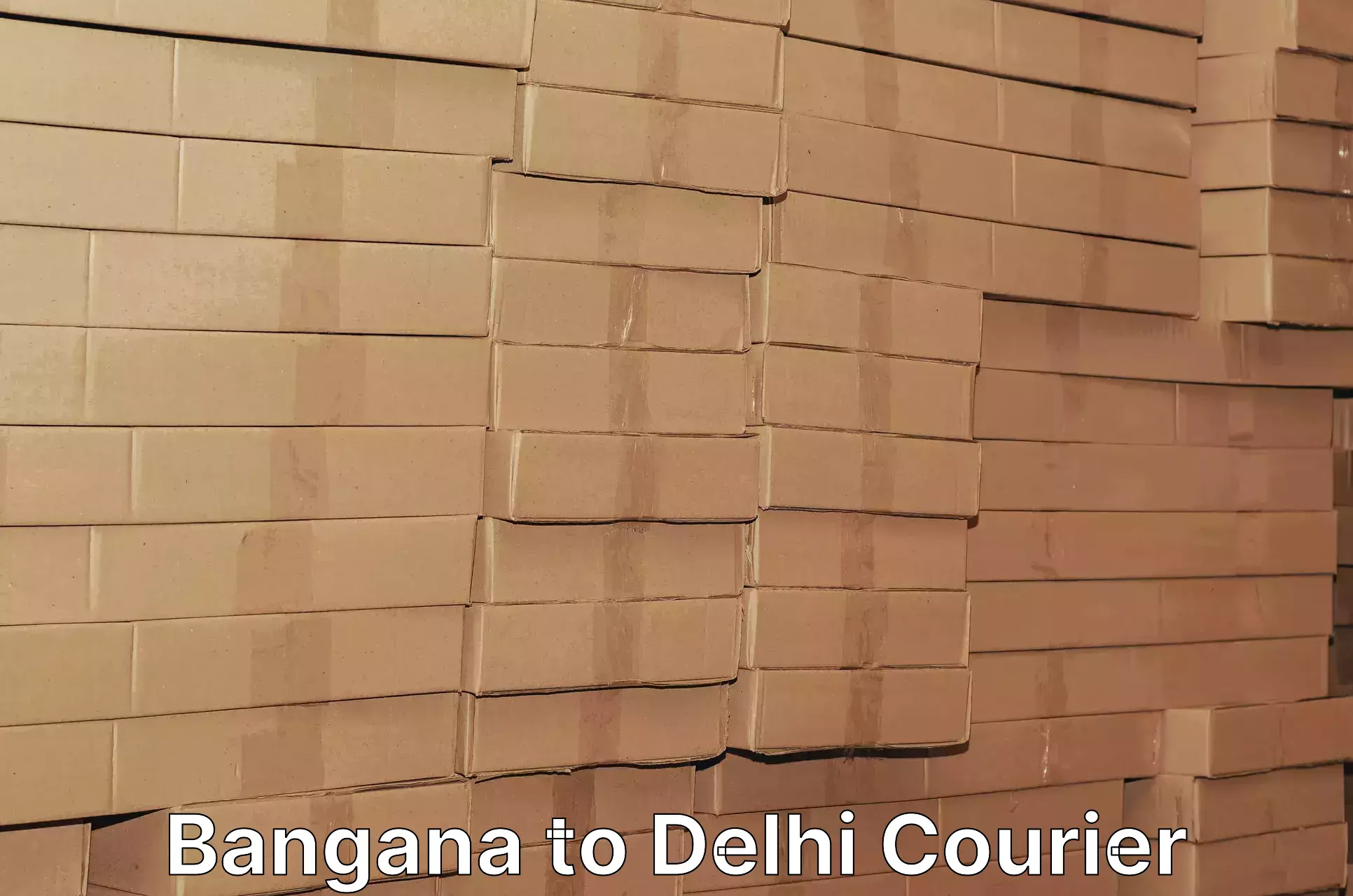 Nationwide shipping services Bangana to Delhi