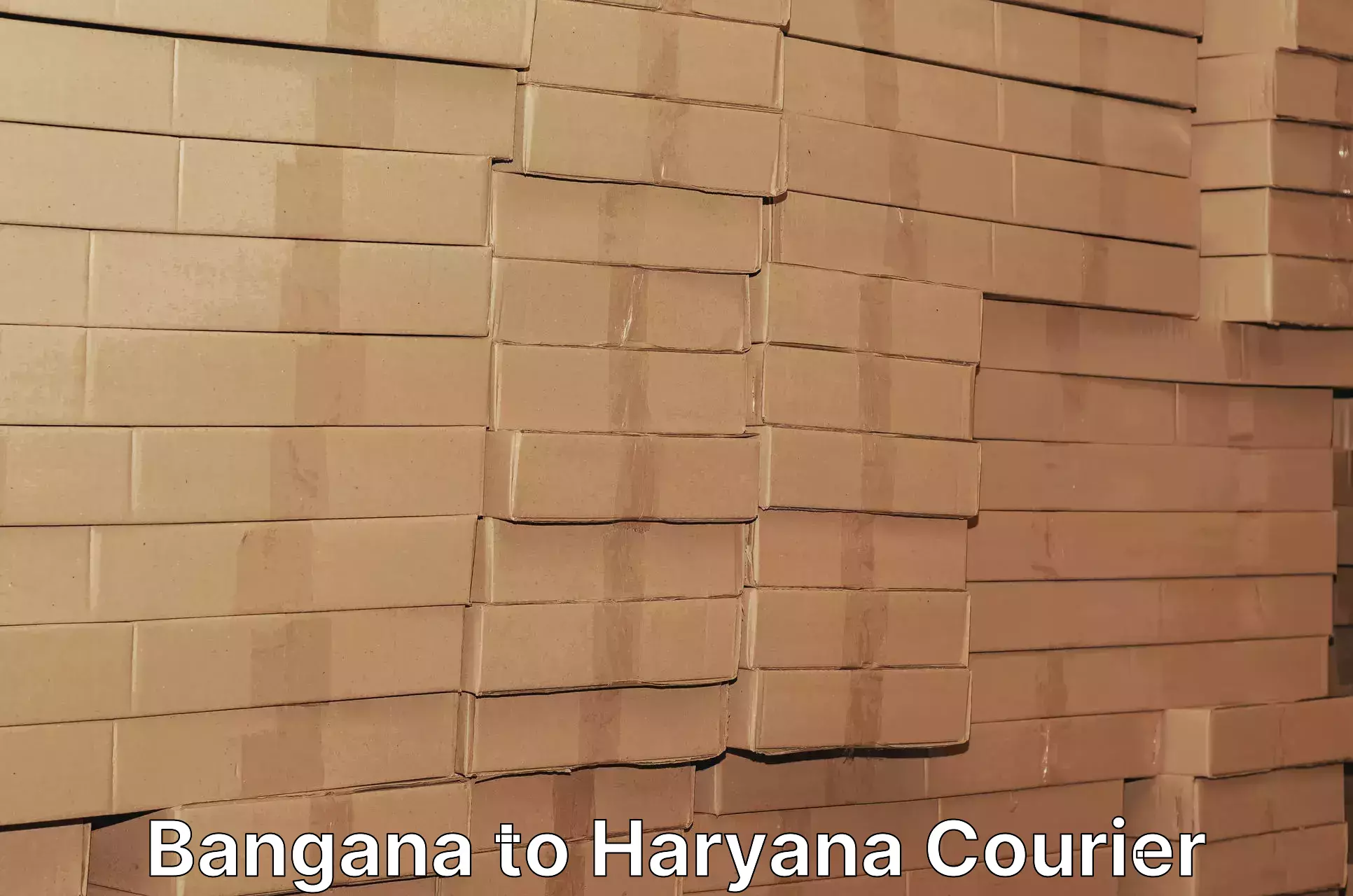 Multi-national courier services Bangana to Narnaul