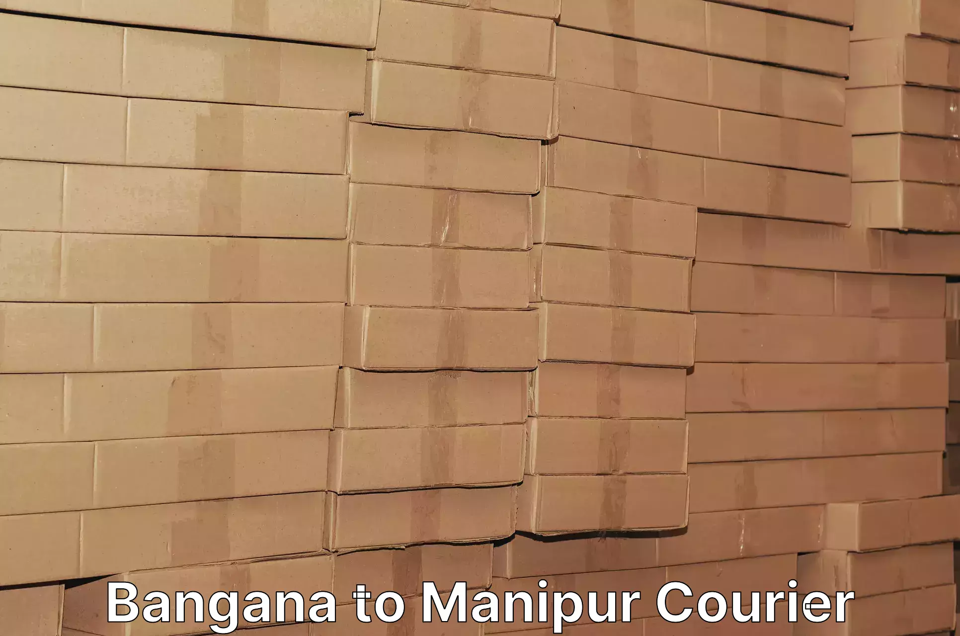 Domestic courier Bangana to Chandel