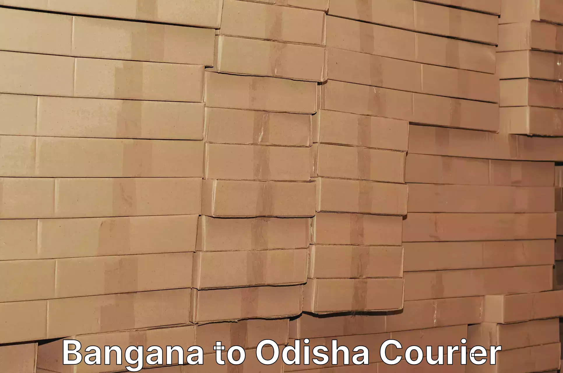High-capacity parcel service Bangana to Pottangi