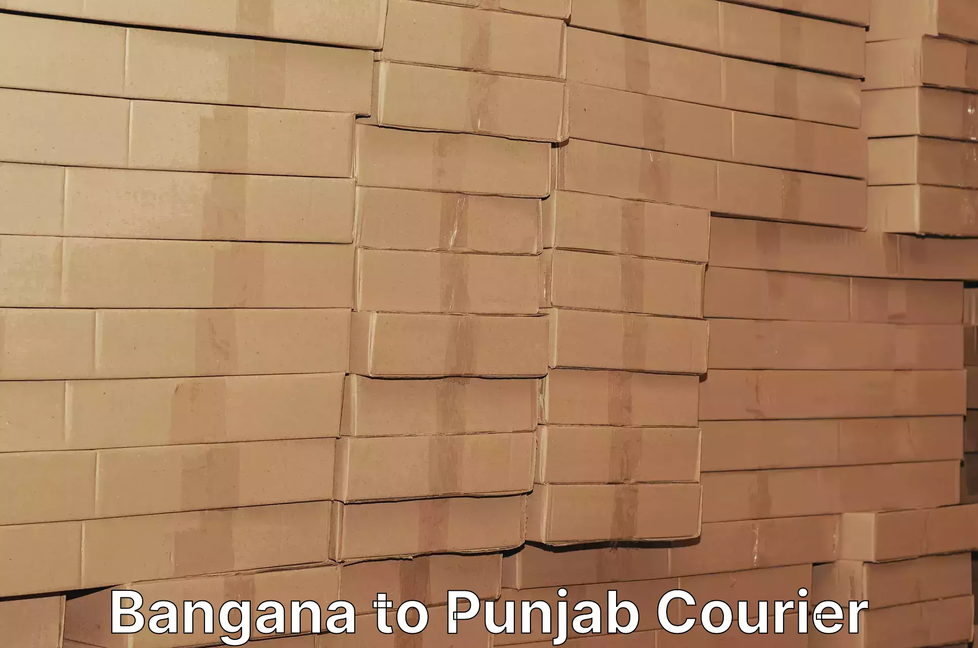 Smart parcel delivery Bangana to Sunam