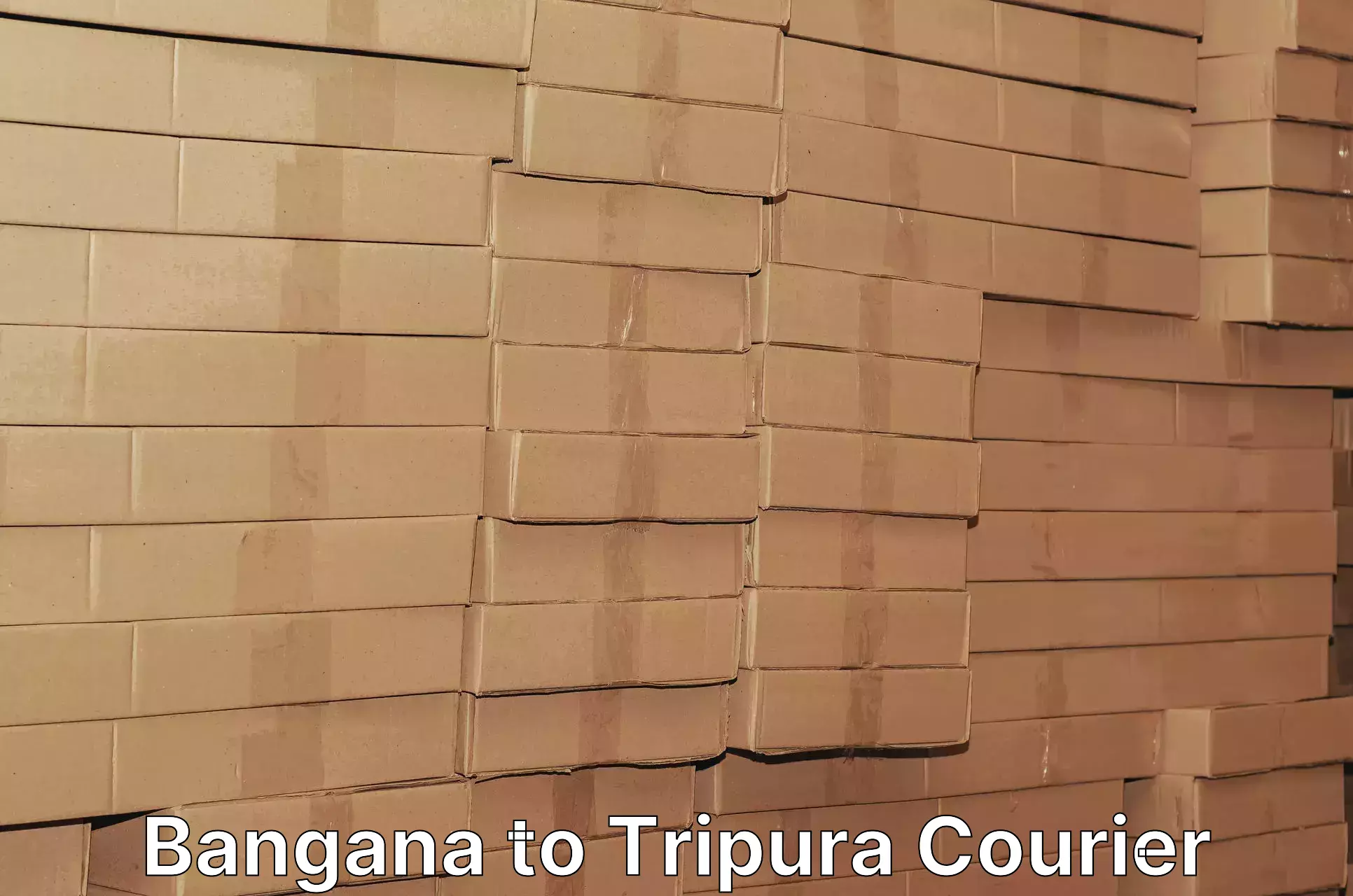 Smart parcel solutions Bangana to Udaipur Tripura