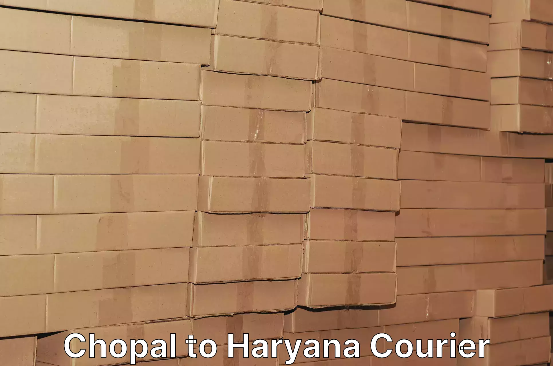 Special handling courier Chopal to Pinjore