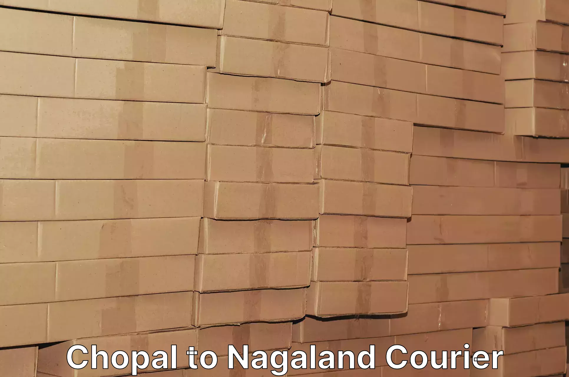 Next-day freight services Chopal to Nagaland
