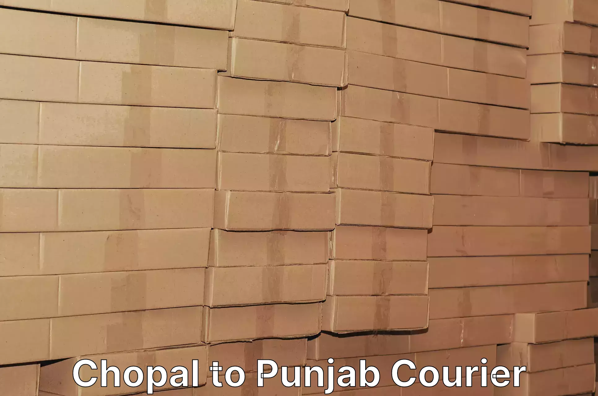 Premium courier solutions Chopal to Punjab