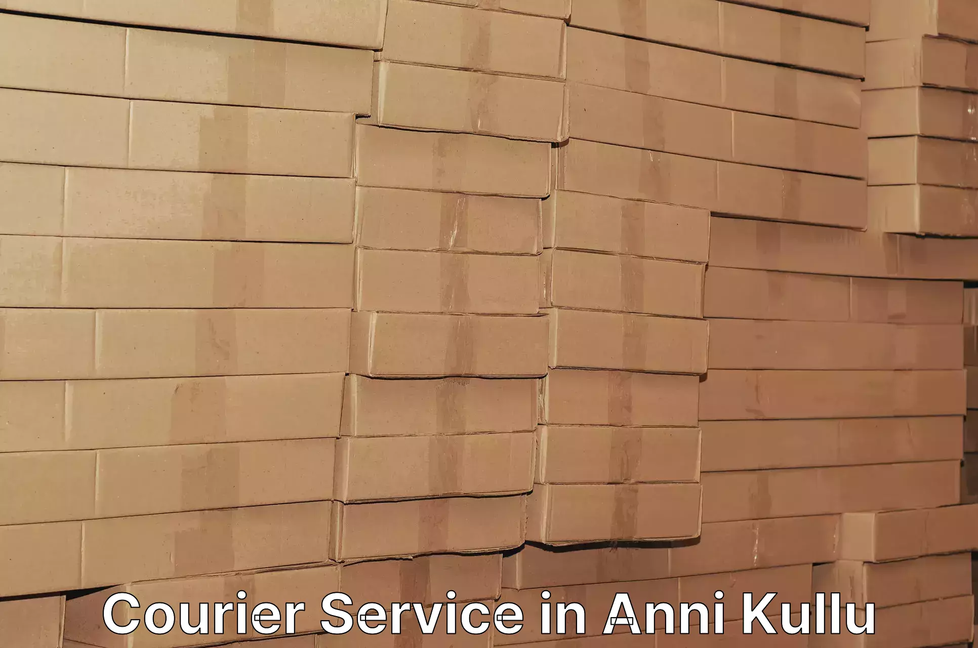 High-speed parcel service in Anni Kullu