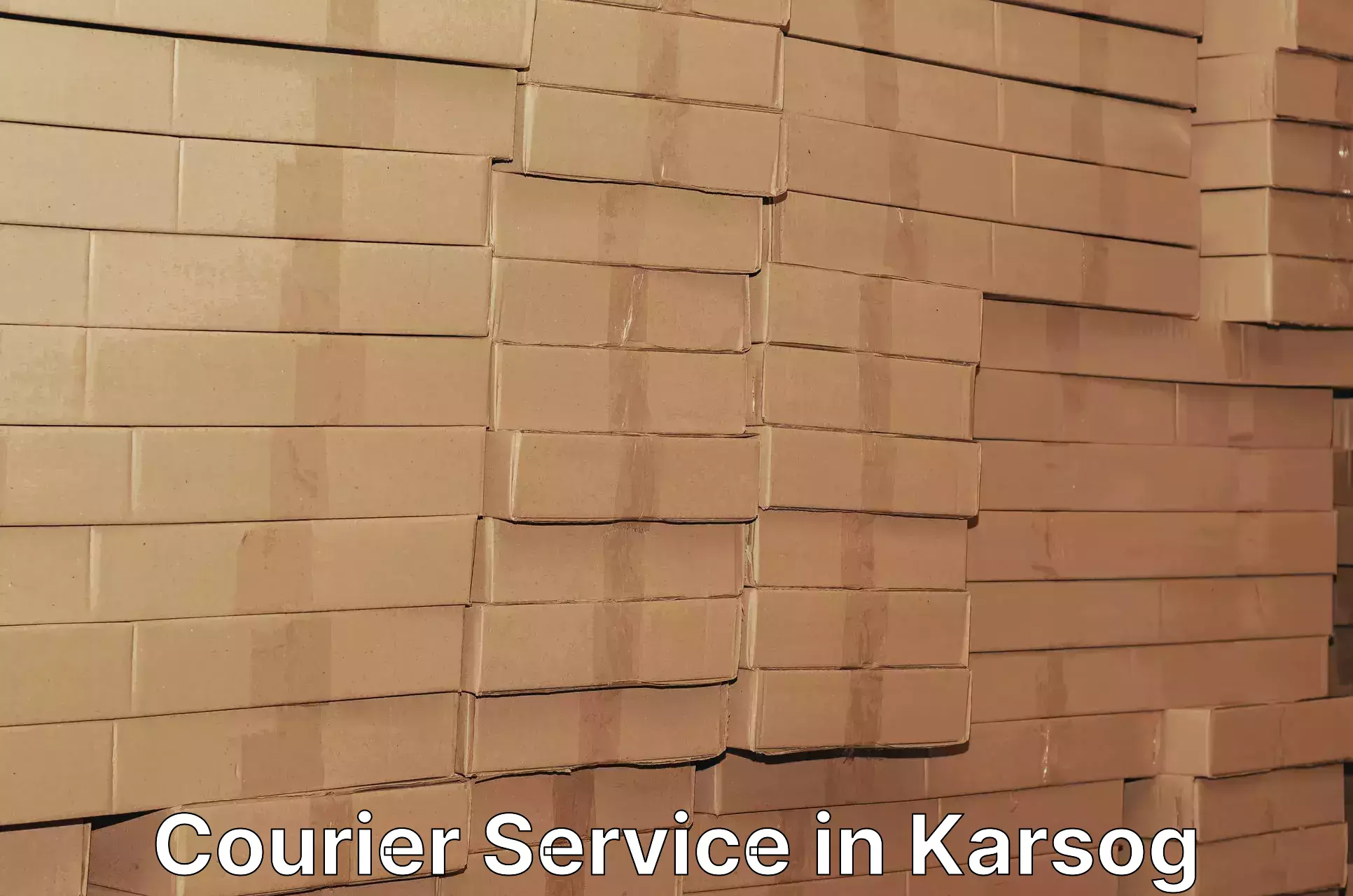 On-time delivery services in Karsog