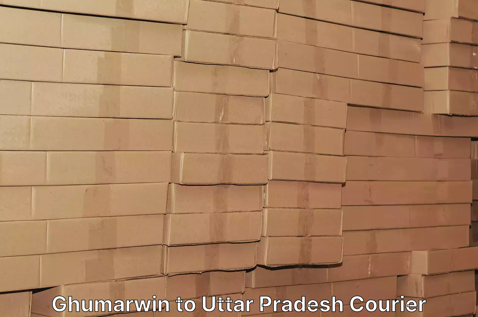 Pharmaceutical courier Ghumarwin to Uttar Pradesh