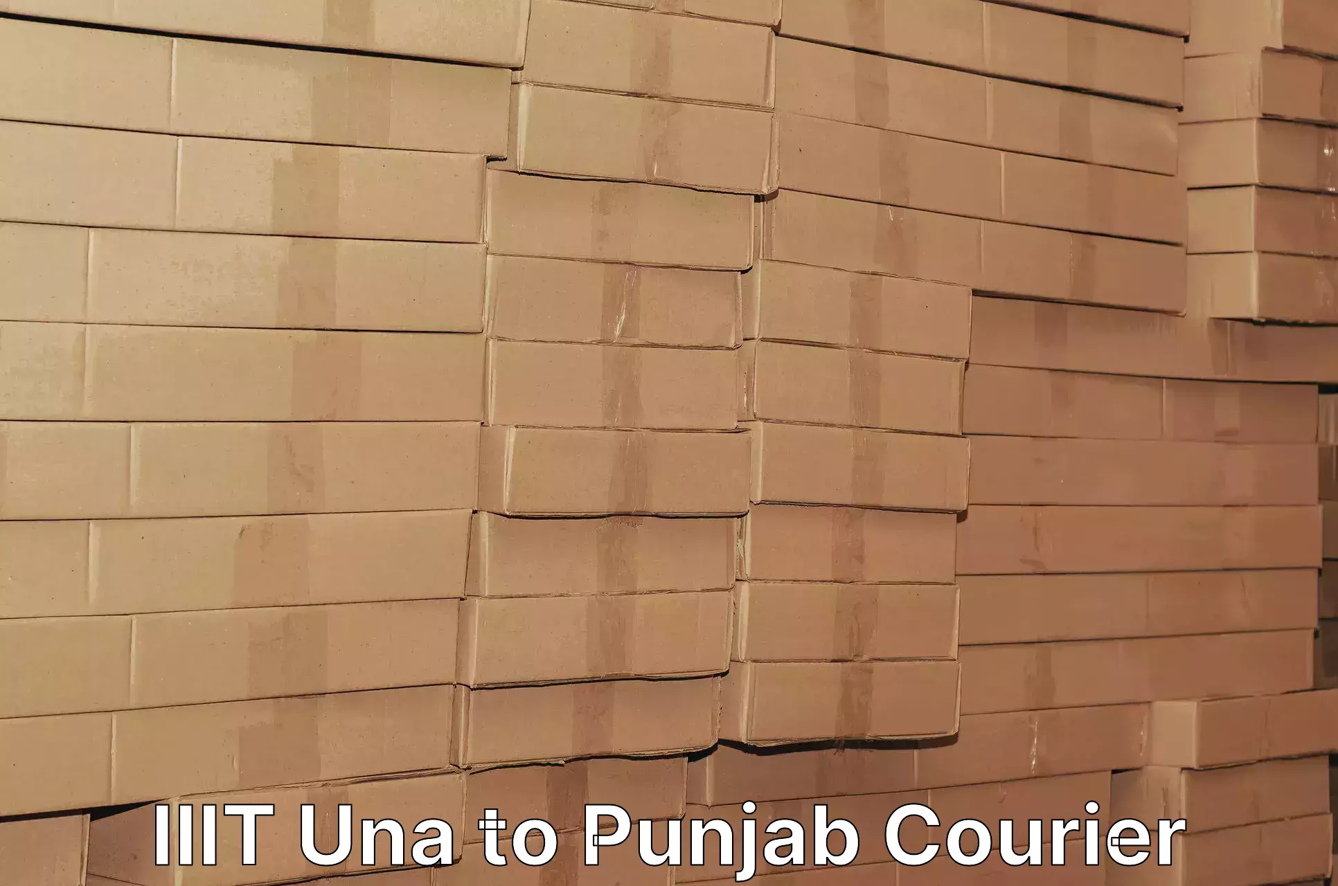 High-capacity courier solutions IIIT Una to Punjab
