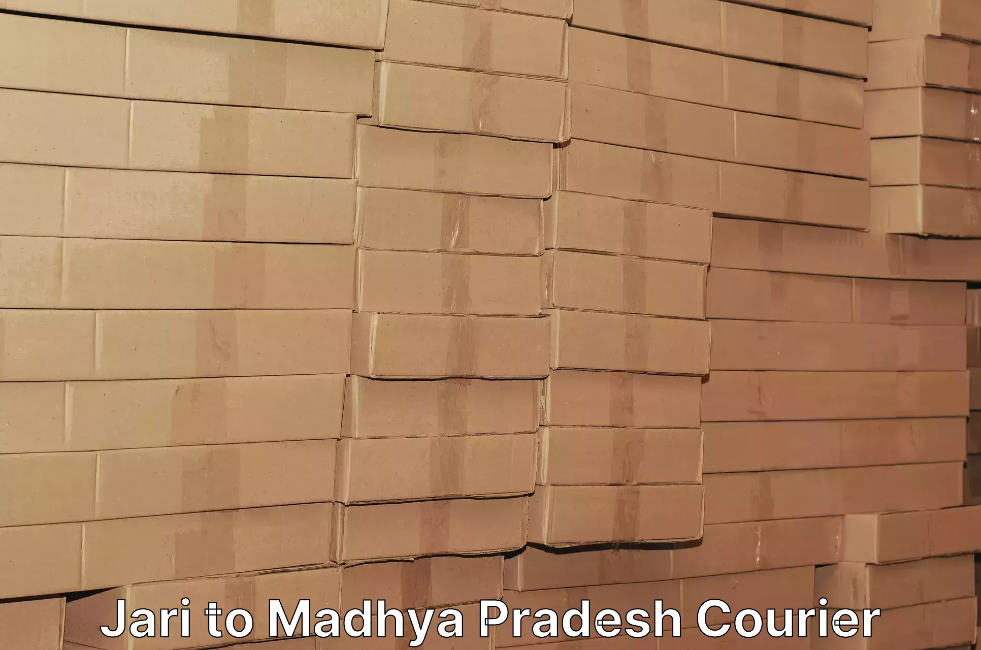 Versatile courier offerings in Jari to Madhya Pradesh