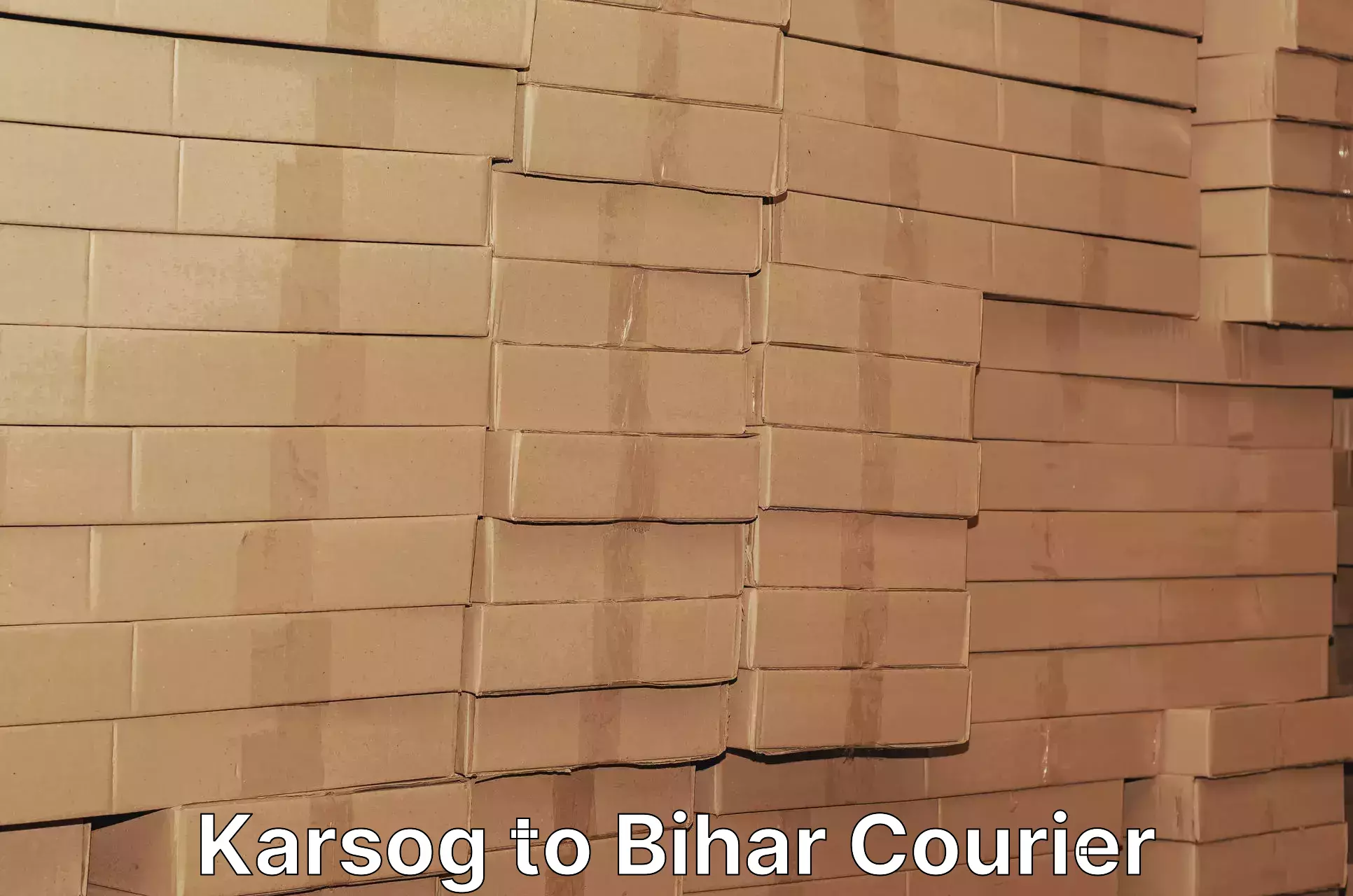 Dynamic parcel delivery in Karsog to Bihar