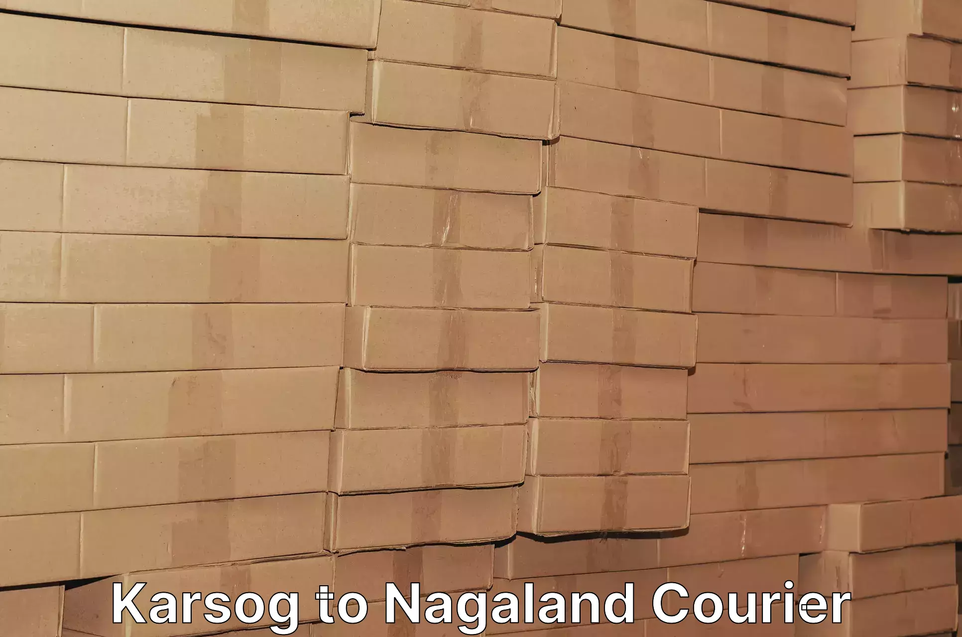 Integrated shipping services Karsog to NIT Nagaland