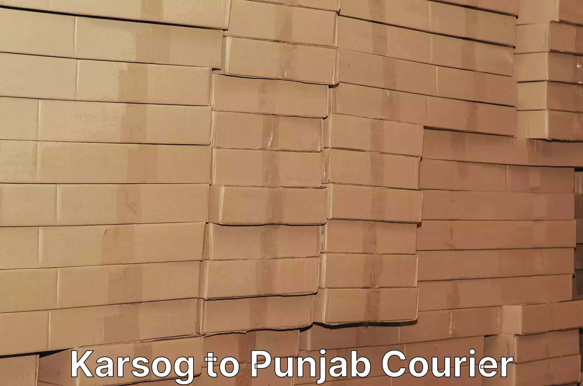 Package tracking Karsog to Punjab