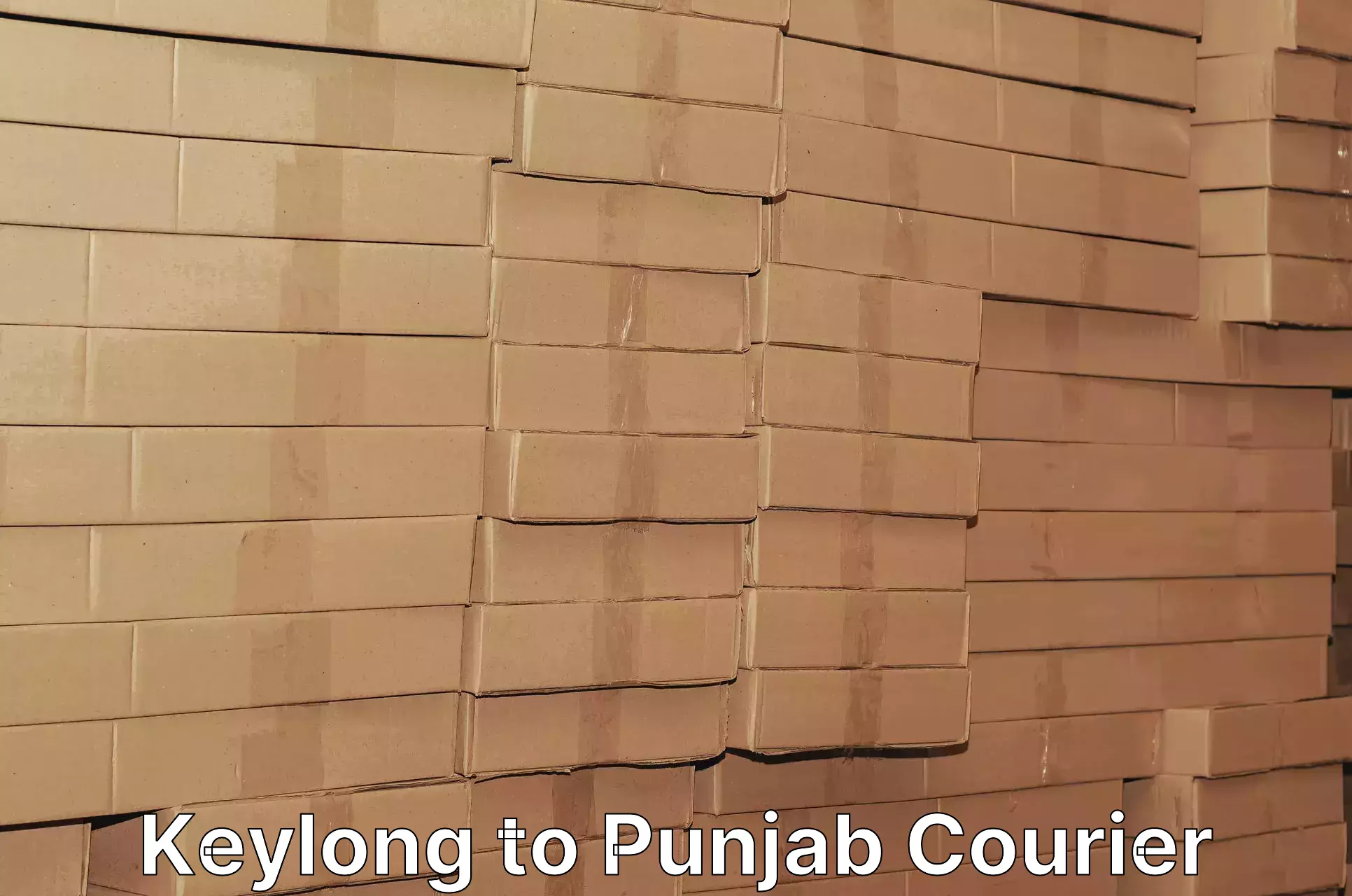Affordable shipping rates Keylong to Punjab