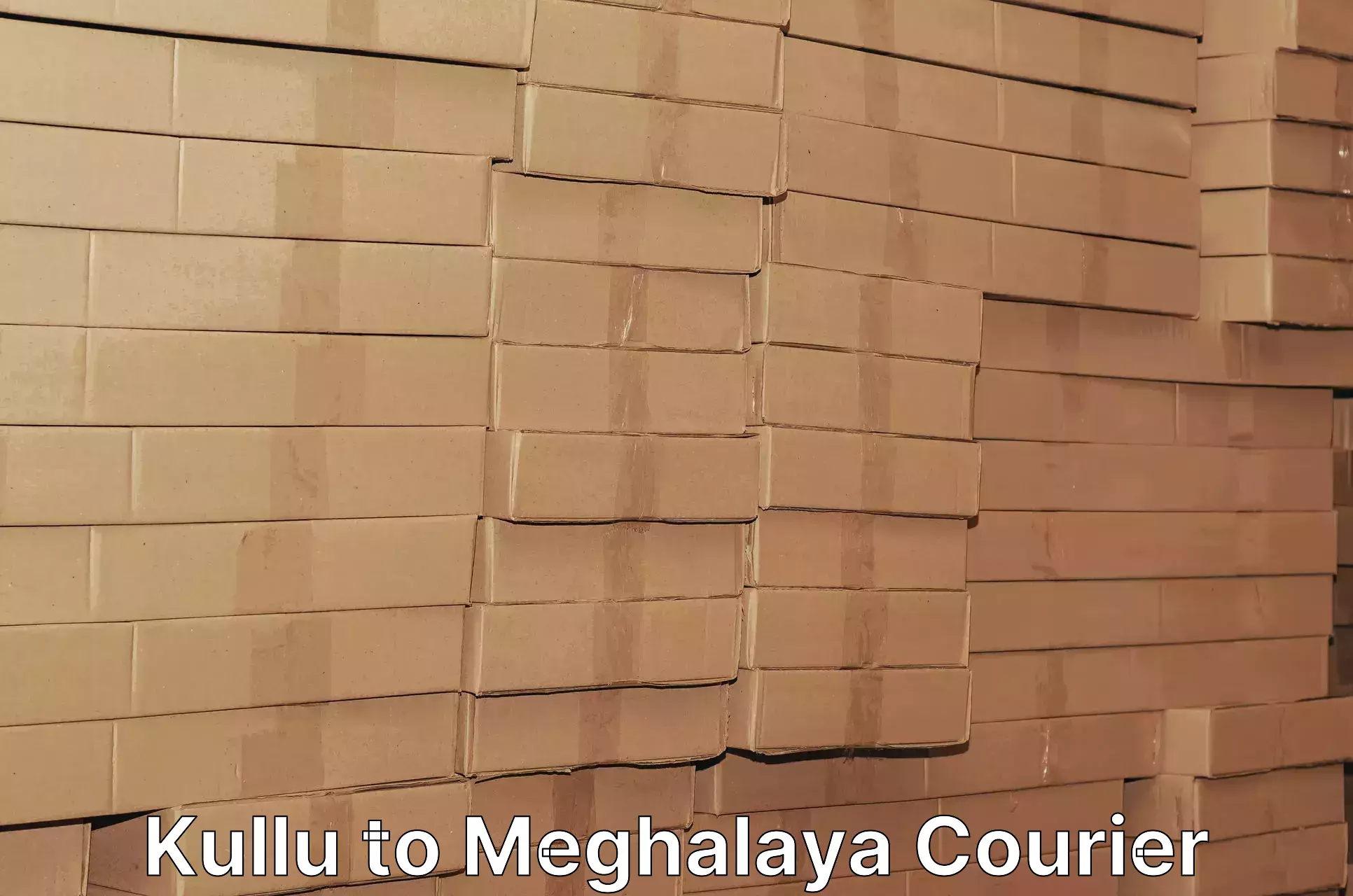 Customer-oriented courier services Kullu to Meghalaya
