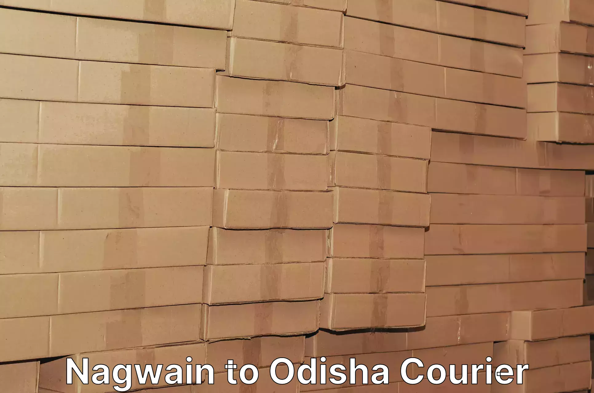 Air courier services Nagwain to Odisha