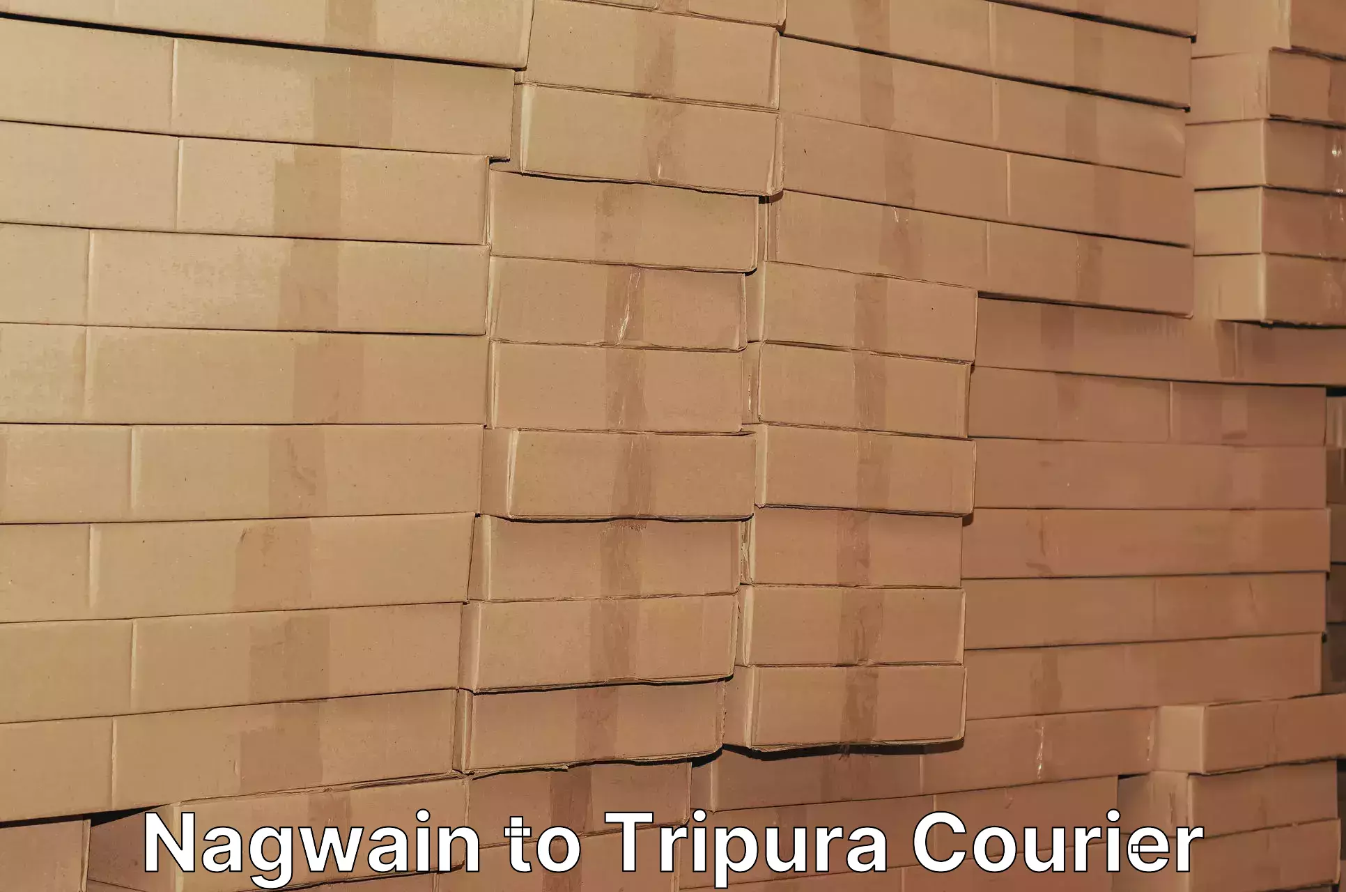 Automated parcel services Nagwain to Tripura