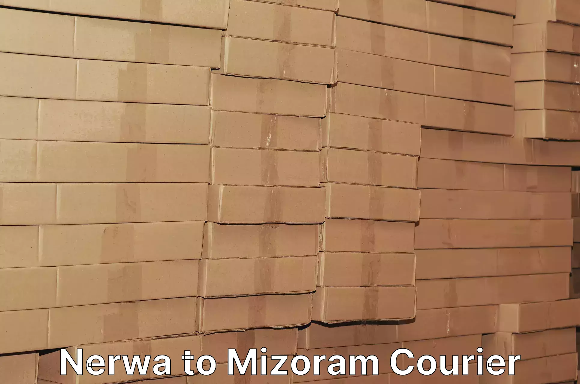 Customized shipping options Nerwa to Mizoram University Aizawl