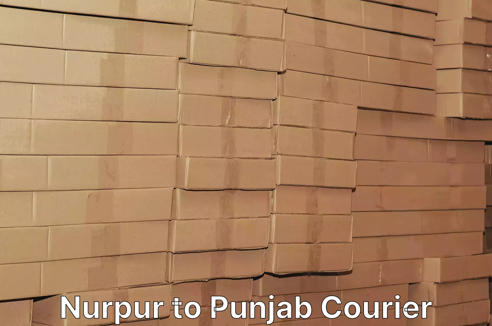 Return courier service Nurpur to Jalandhar