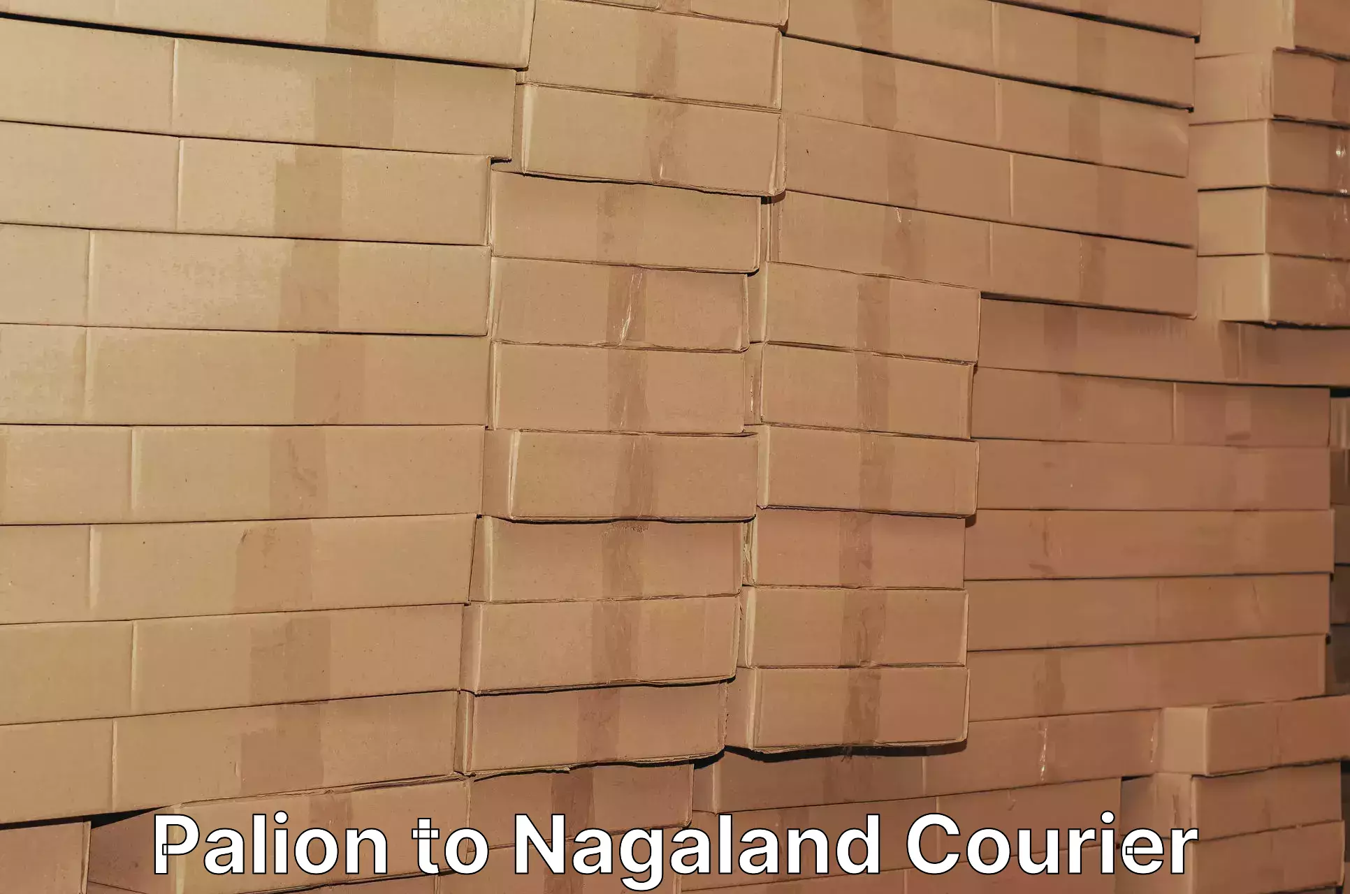 Shipping and handling Palion to NIT Nagaland
