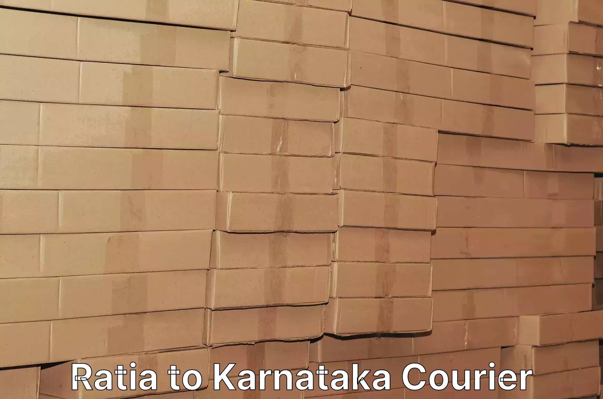 Multi-service courier options Ratia to Karnataka