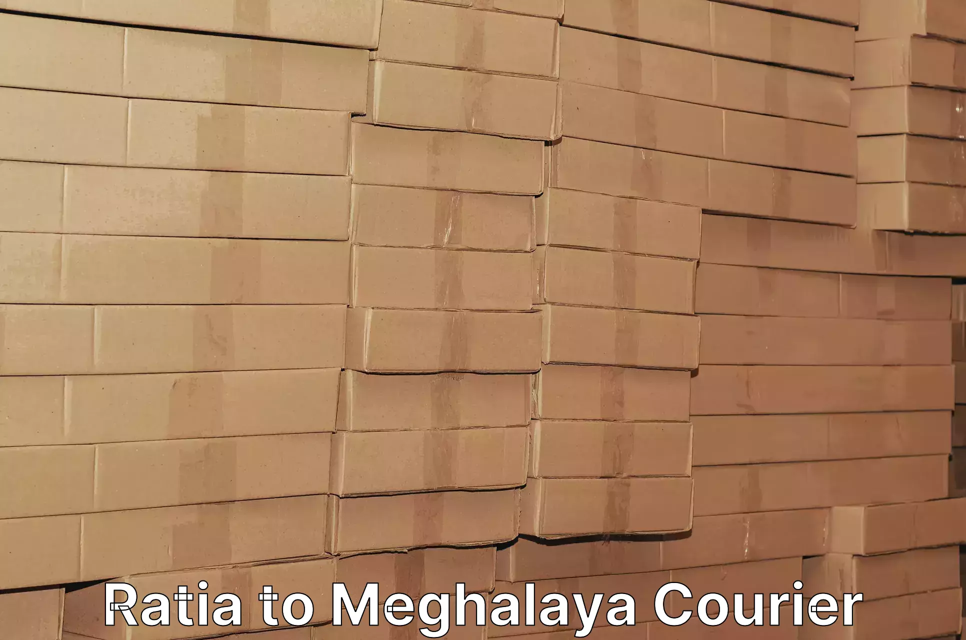 Premium courier solutions in Ratia to Meghalaya