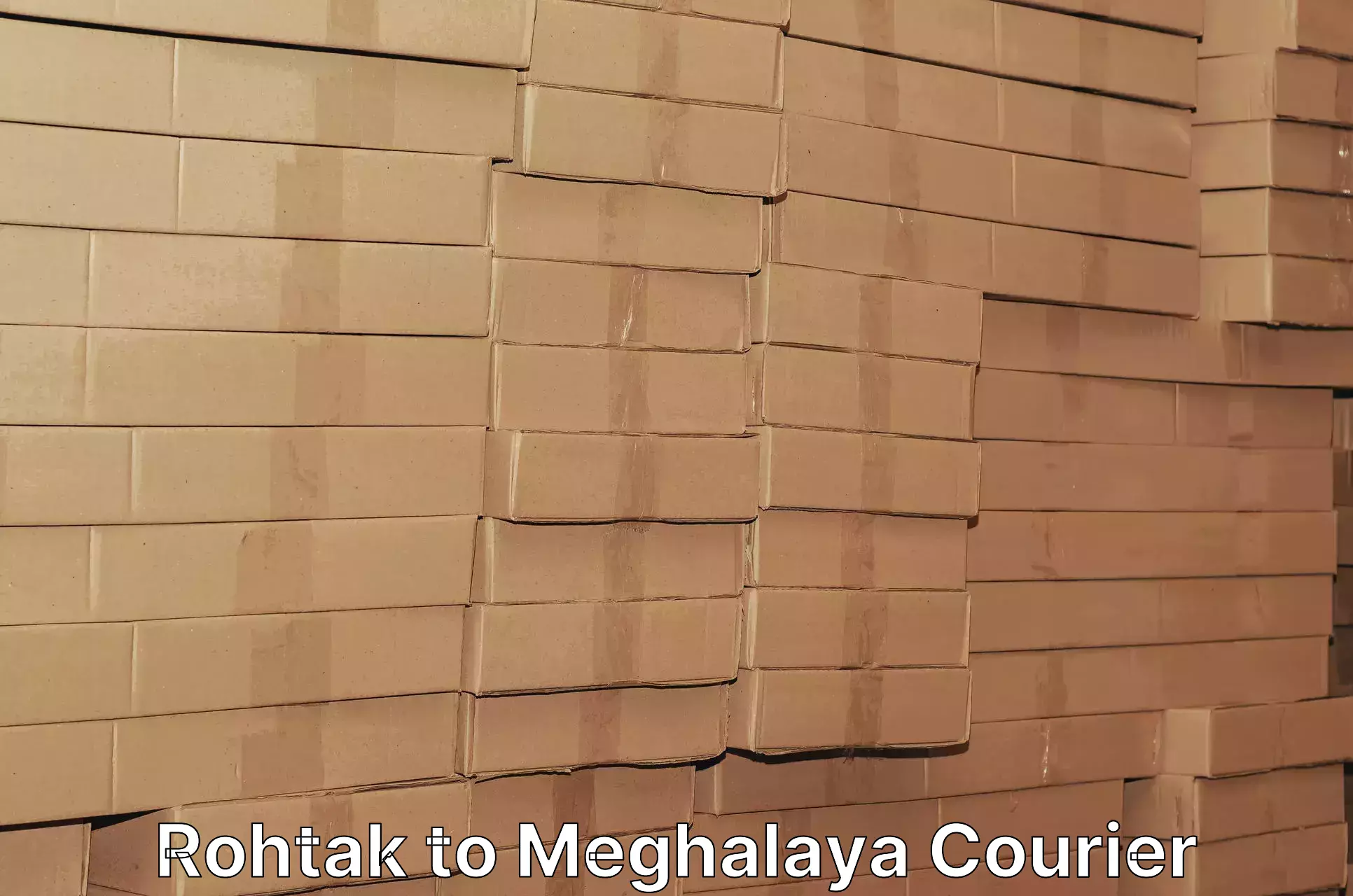 Quality courier partnerships Rohtak to Meghalaya