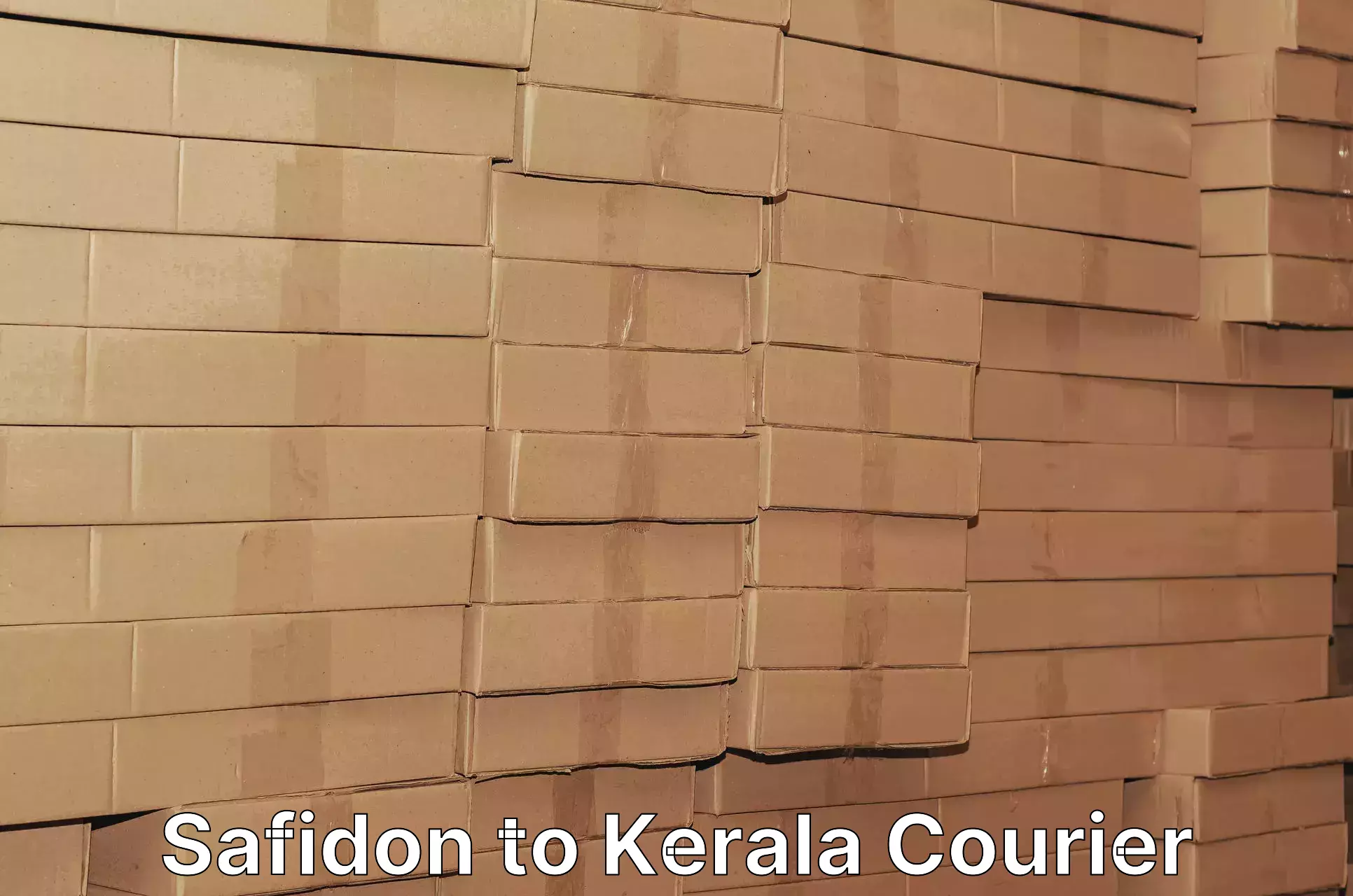 Affordable parcel rates Safidon to Kerala
