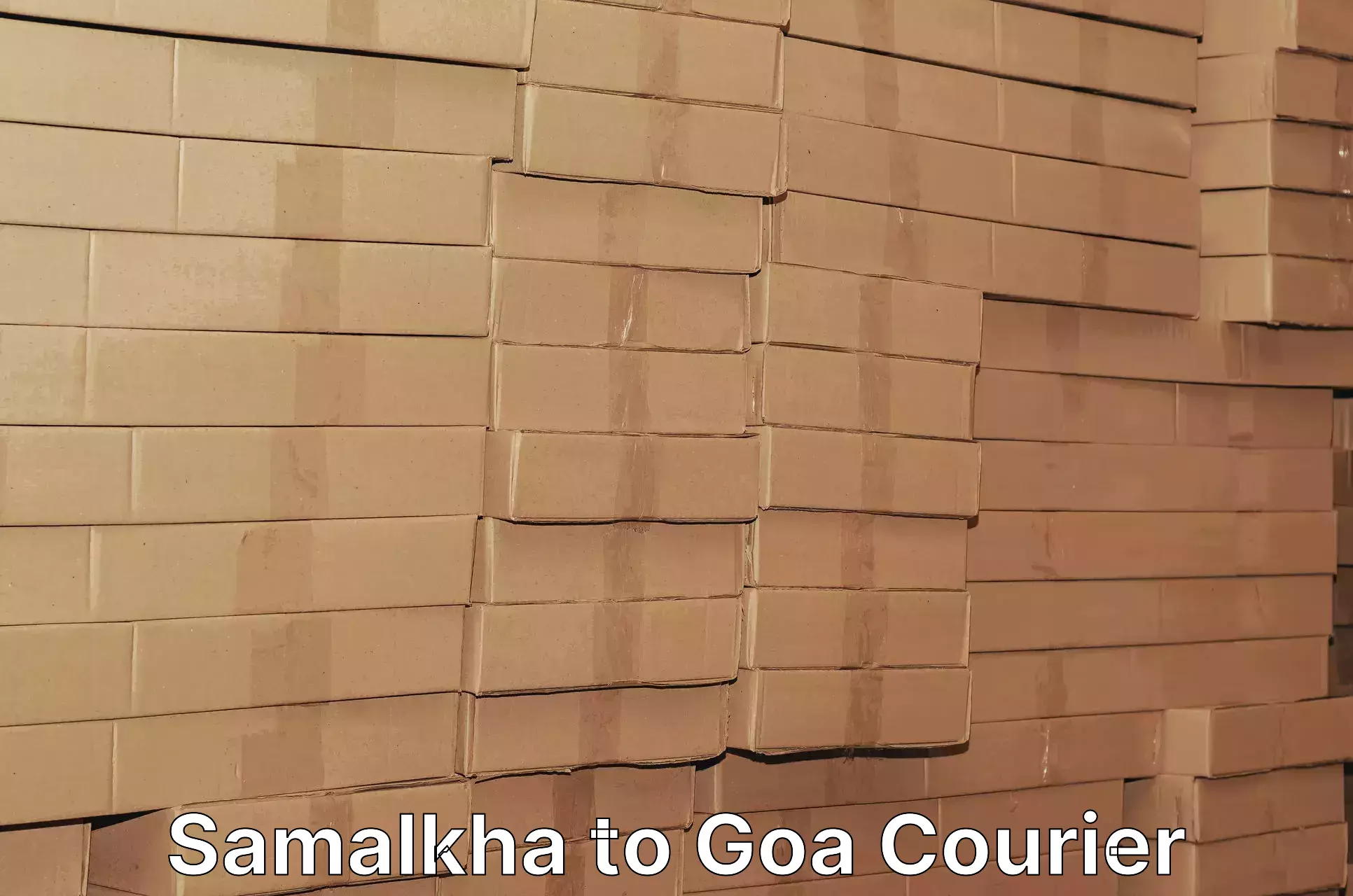Custom courier solutions Samalkha to IIT Goa