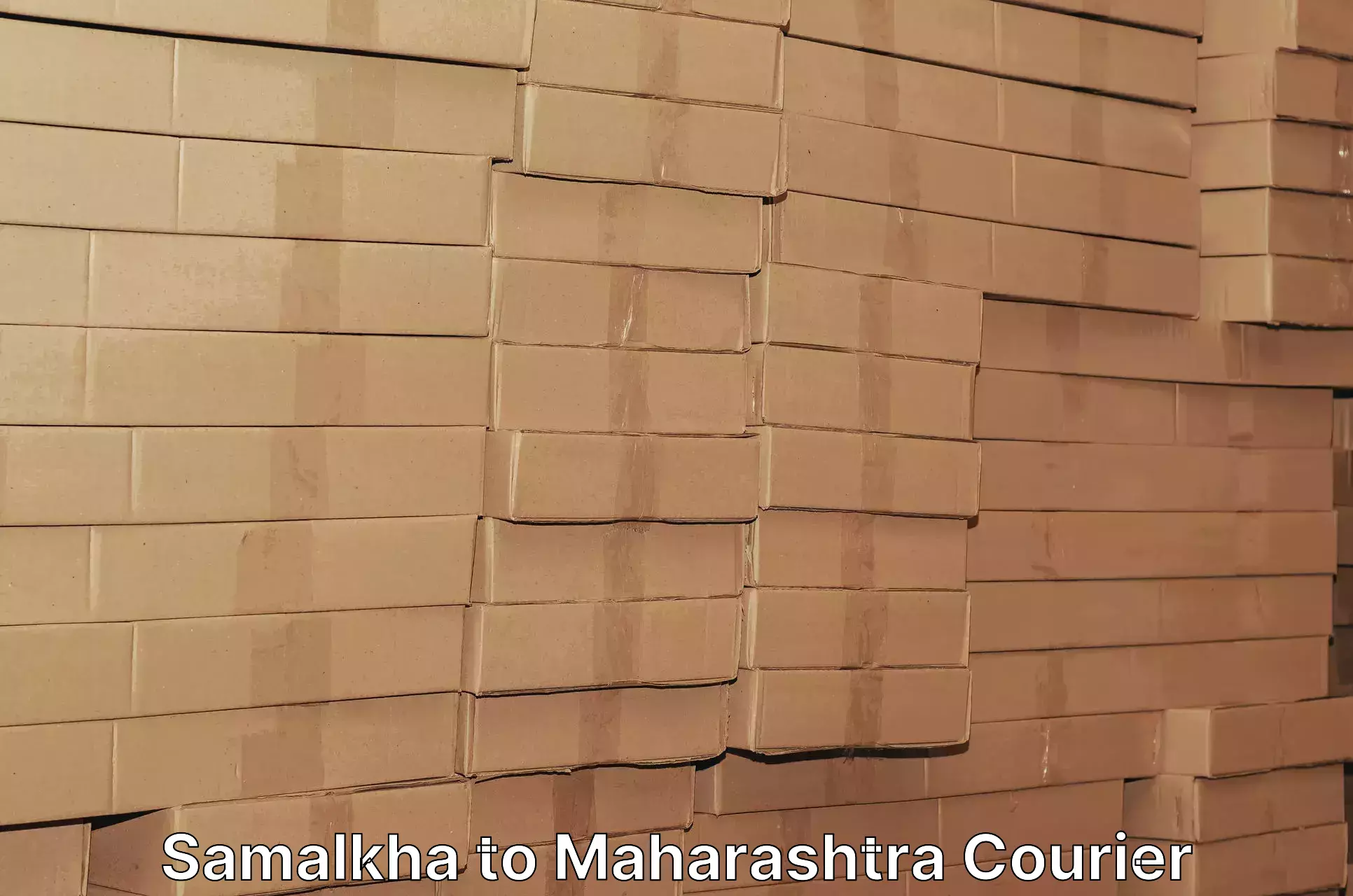Multi-city courier Samalkha to Maharashtra