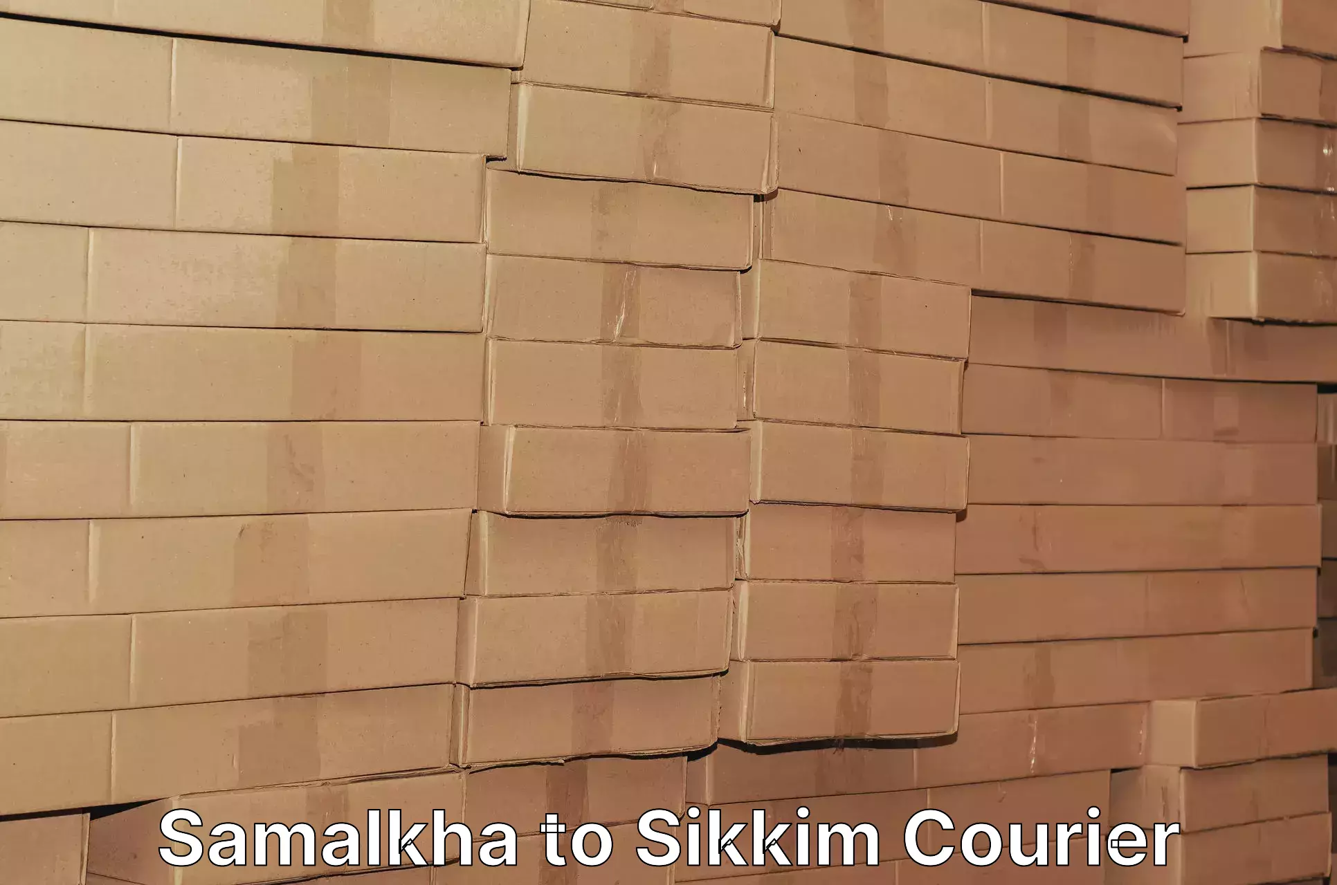 Residential courier service Samalkha to East Sikkim