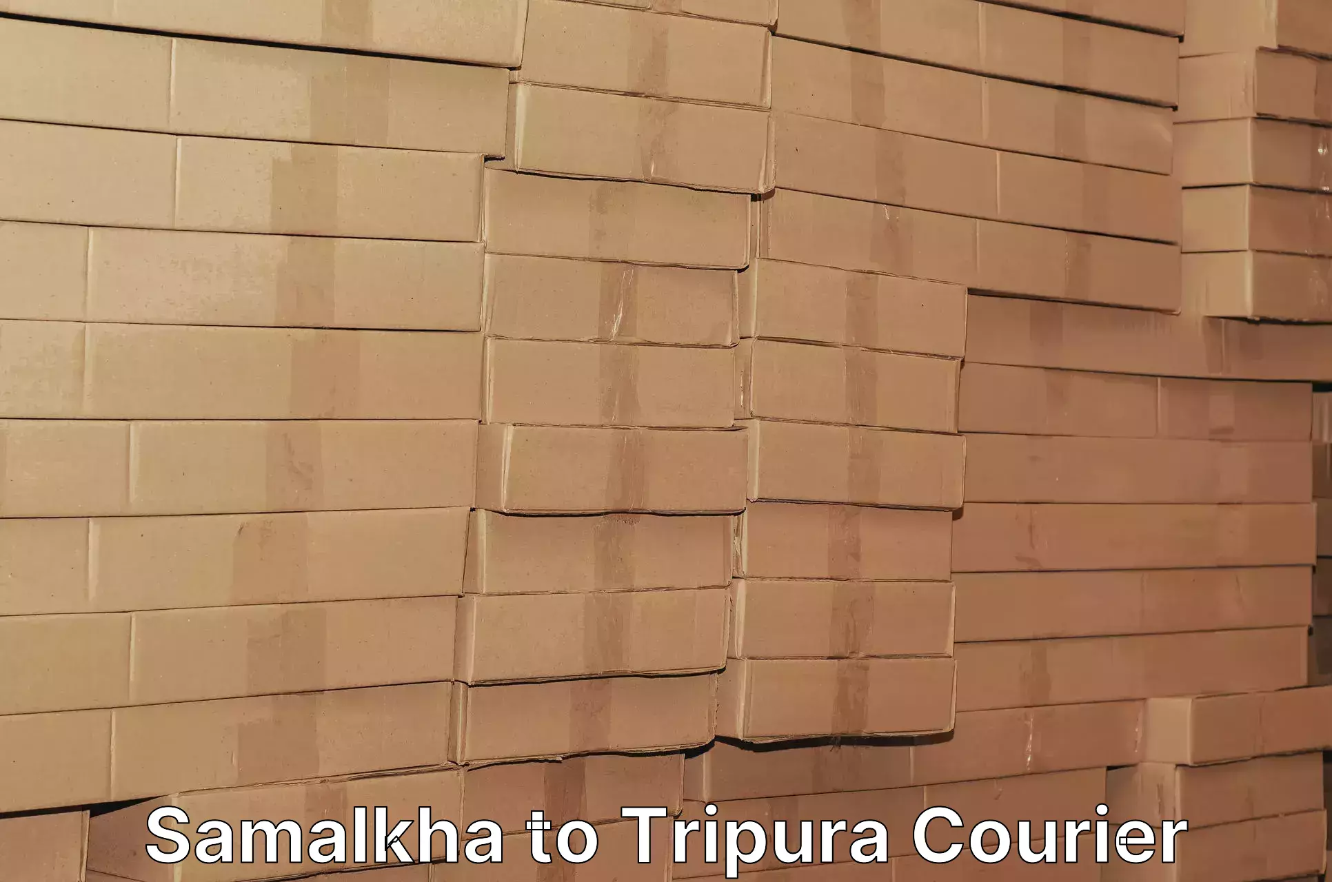Subscription-based courier Samalkha to Udaipur Tripura