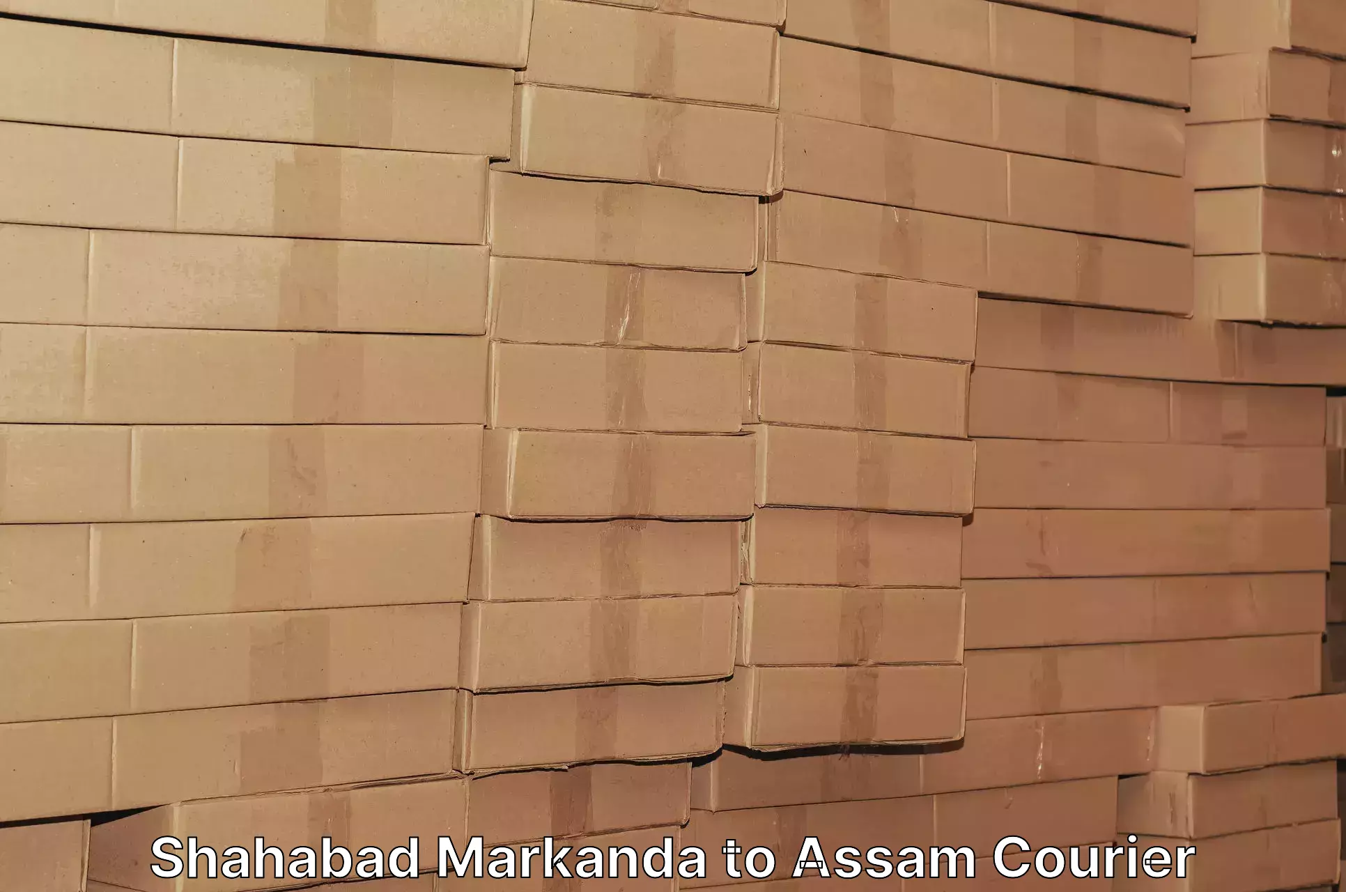 Sustainable delivery practices Shahabad Markanda to Assam