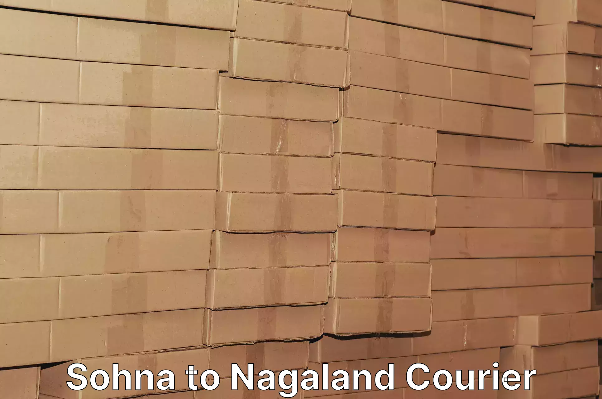 Custom courier packaging in Sohna to NIT Nagaland
