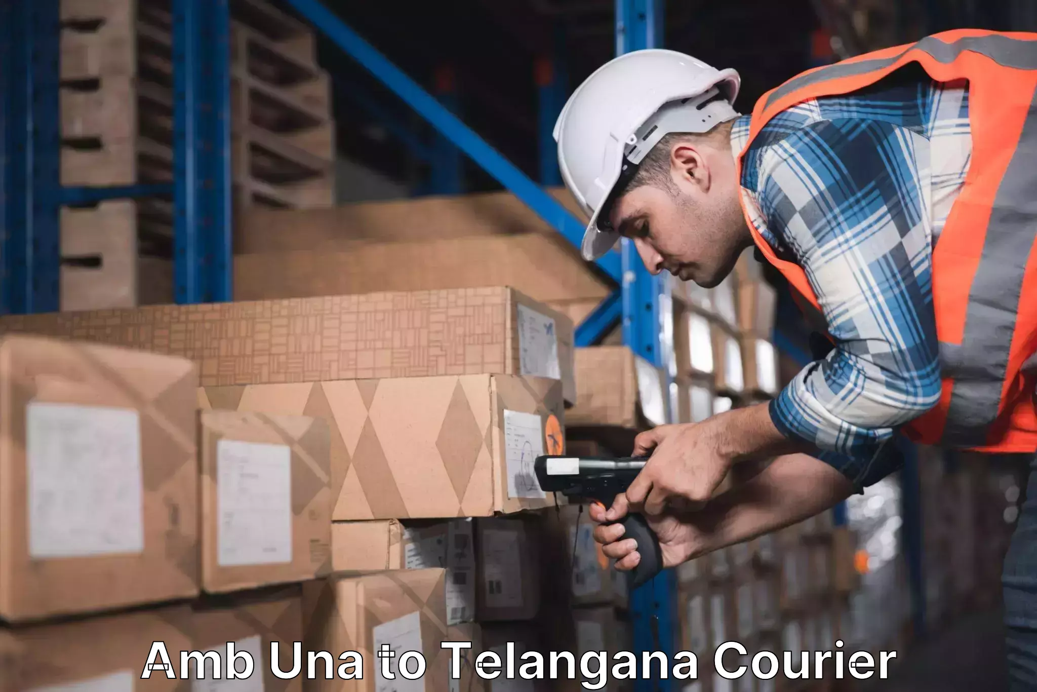 Commercial shipping rates Amb Una to Pregnapur
