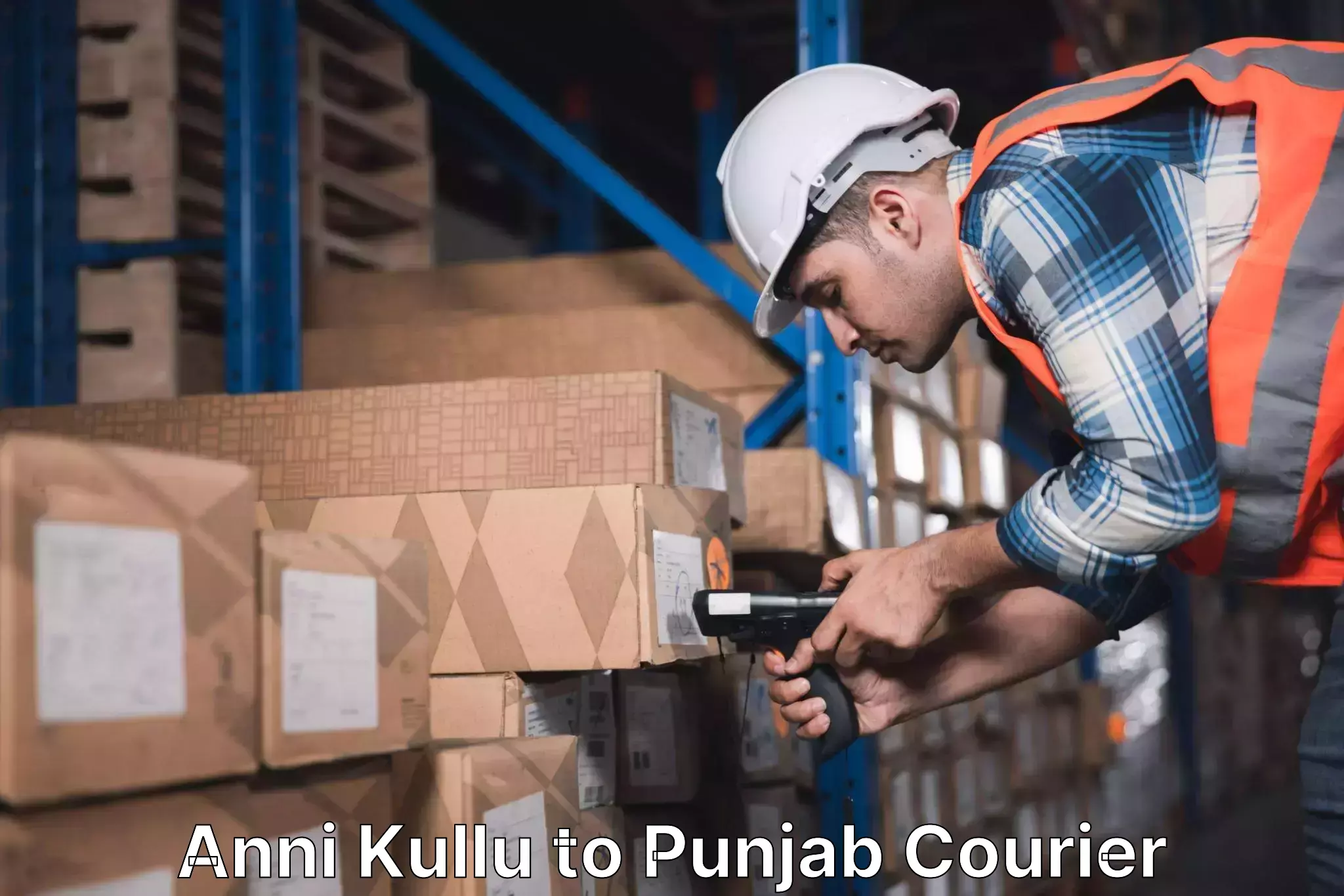 Overnight delivery services Anni Kullu to Amritsar