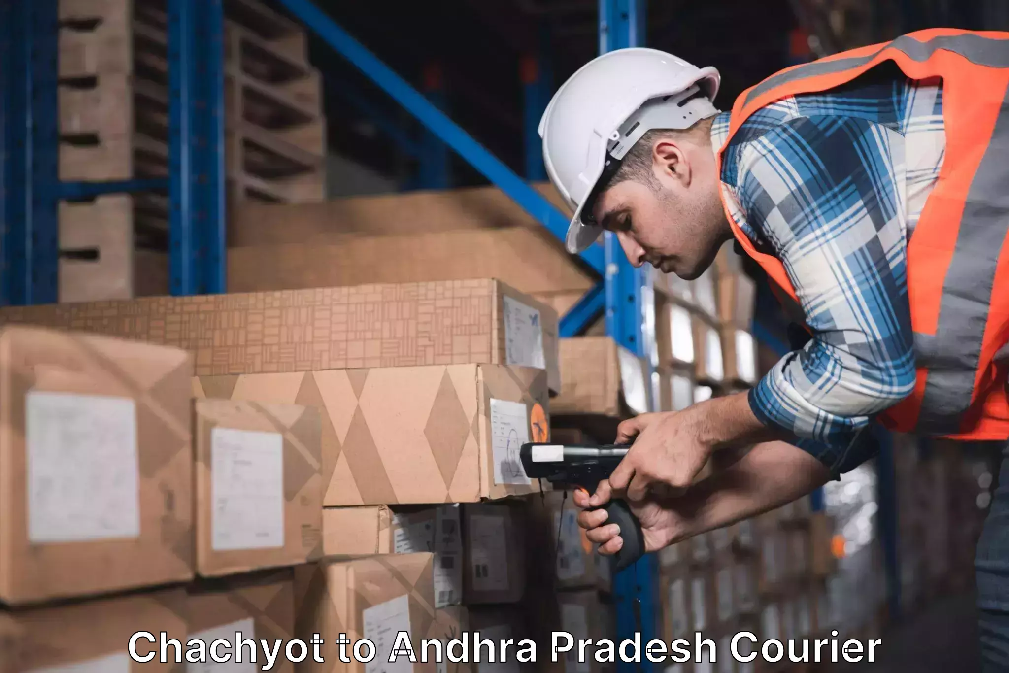 Cost-effective courier options in Chachyot to Andhra Pradesh