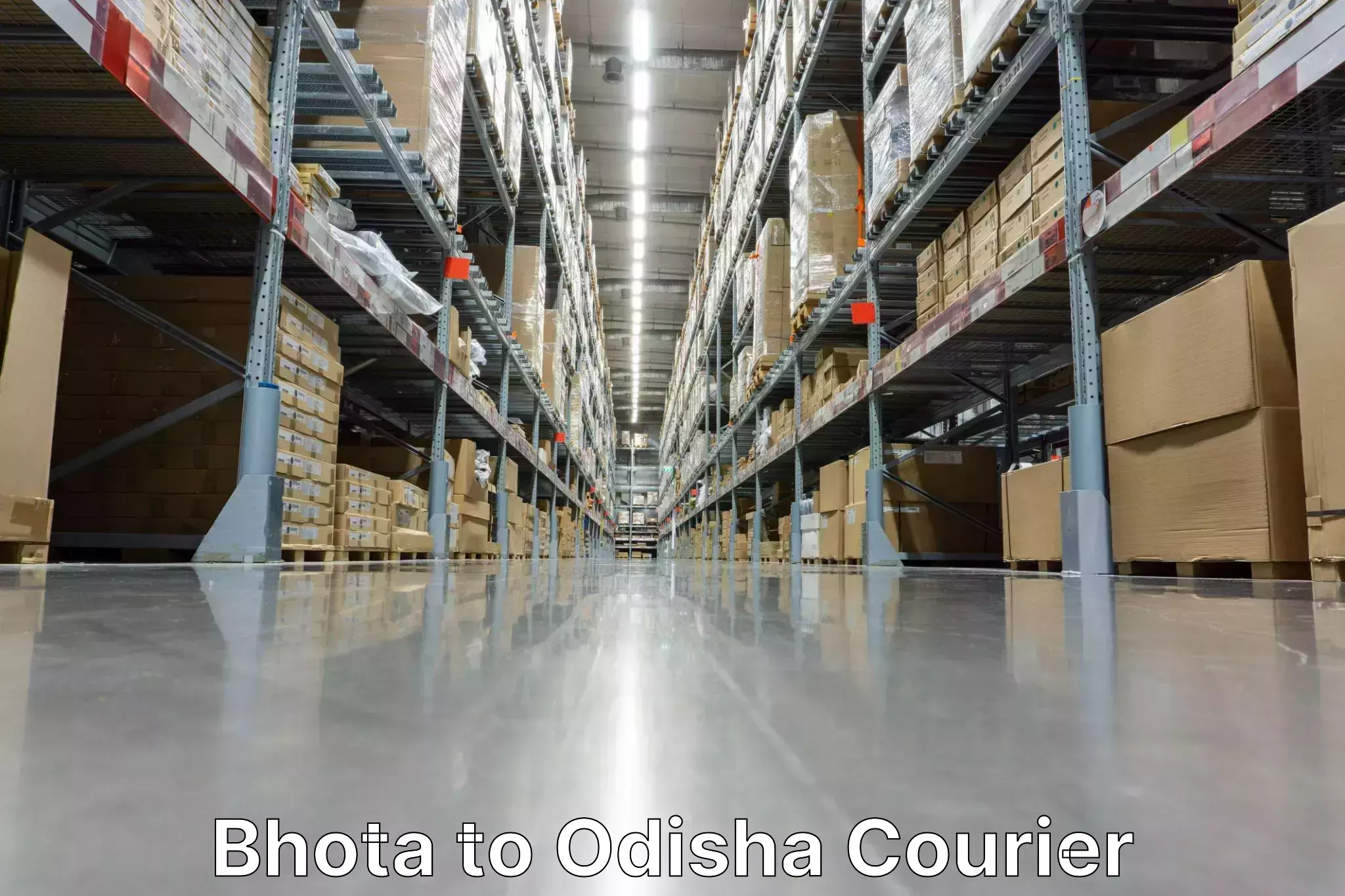 Sustainable courier practices Bhota to Odisha