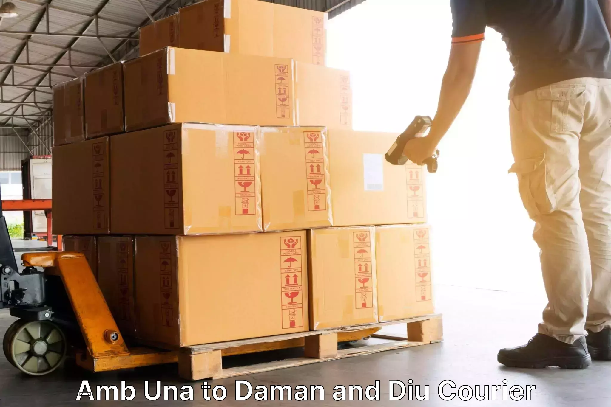 Professional parcel services in Amb Una to Daman