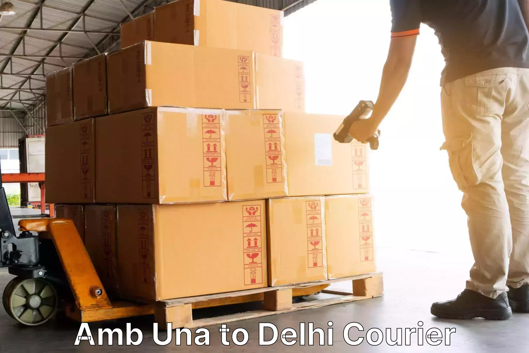 Affordable parcel rates in Amb Una to Delhi