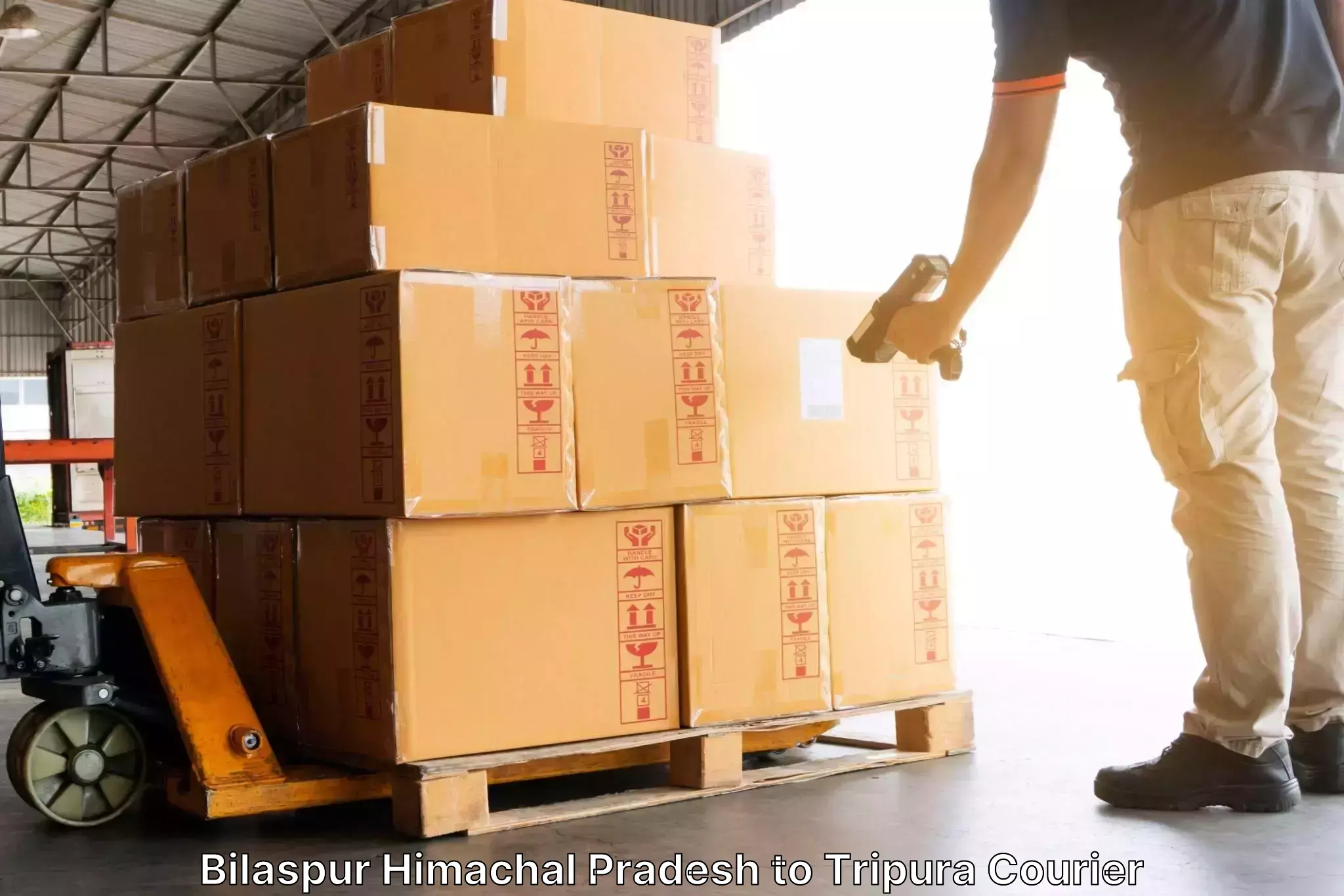 Global parcel delivery Bilaspur Himachal Pradesh to Udaipur Tripura