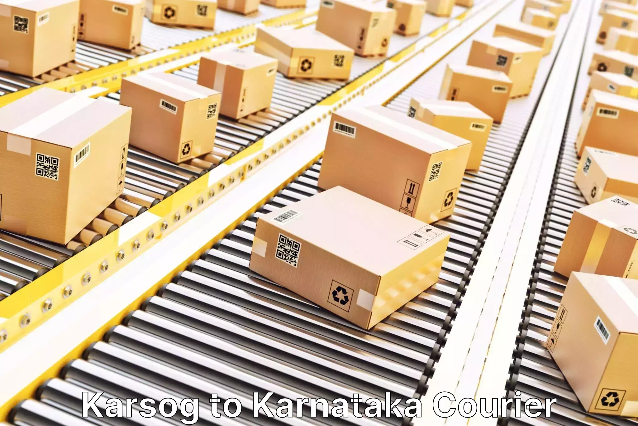 Sustainable courier practices Karsog to Karnataka